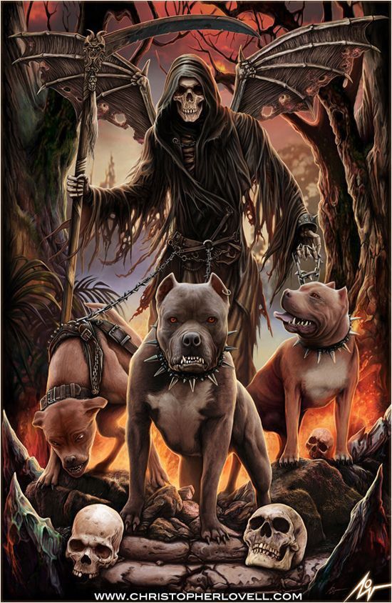 Grim Reaper and Dogs - fantasy wallpaper for OpersCraft