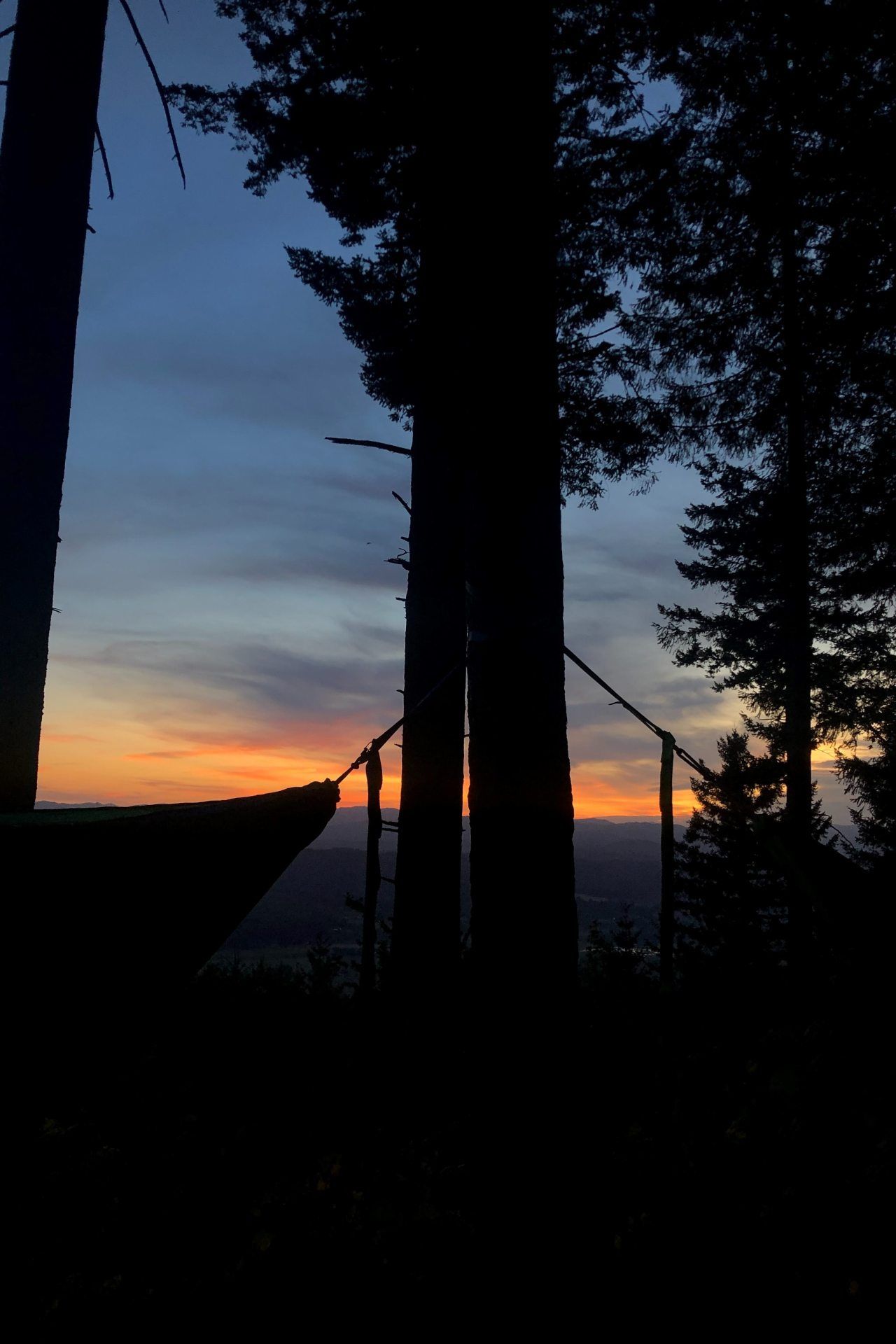 Hammock Sunset Silhouette - forest wallpaper for OpersCraft