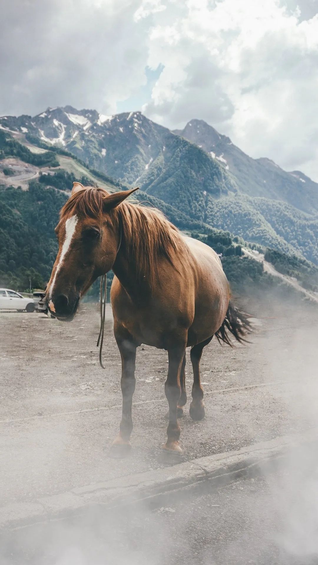 Horse in Mountain Landscape - horse wallpaper for OpersCraft