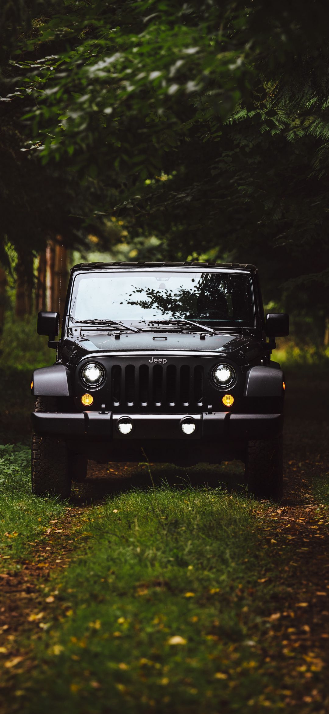 Jeep in Forest Trail - random wallpaper for OpersCraft