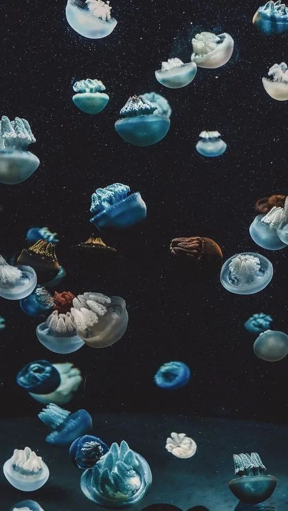 Jellyfish Galaxy Dream - ocean wallpaper for OpersCraft