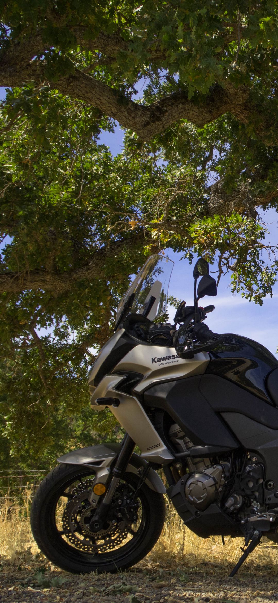 Kawasaki Versys Under Tree - motorcycle wallpaper for OpersCraft