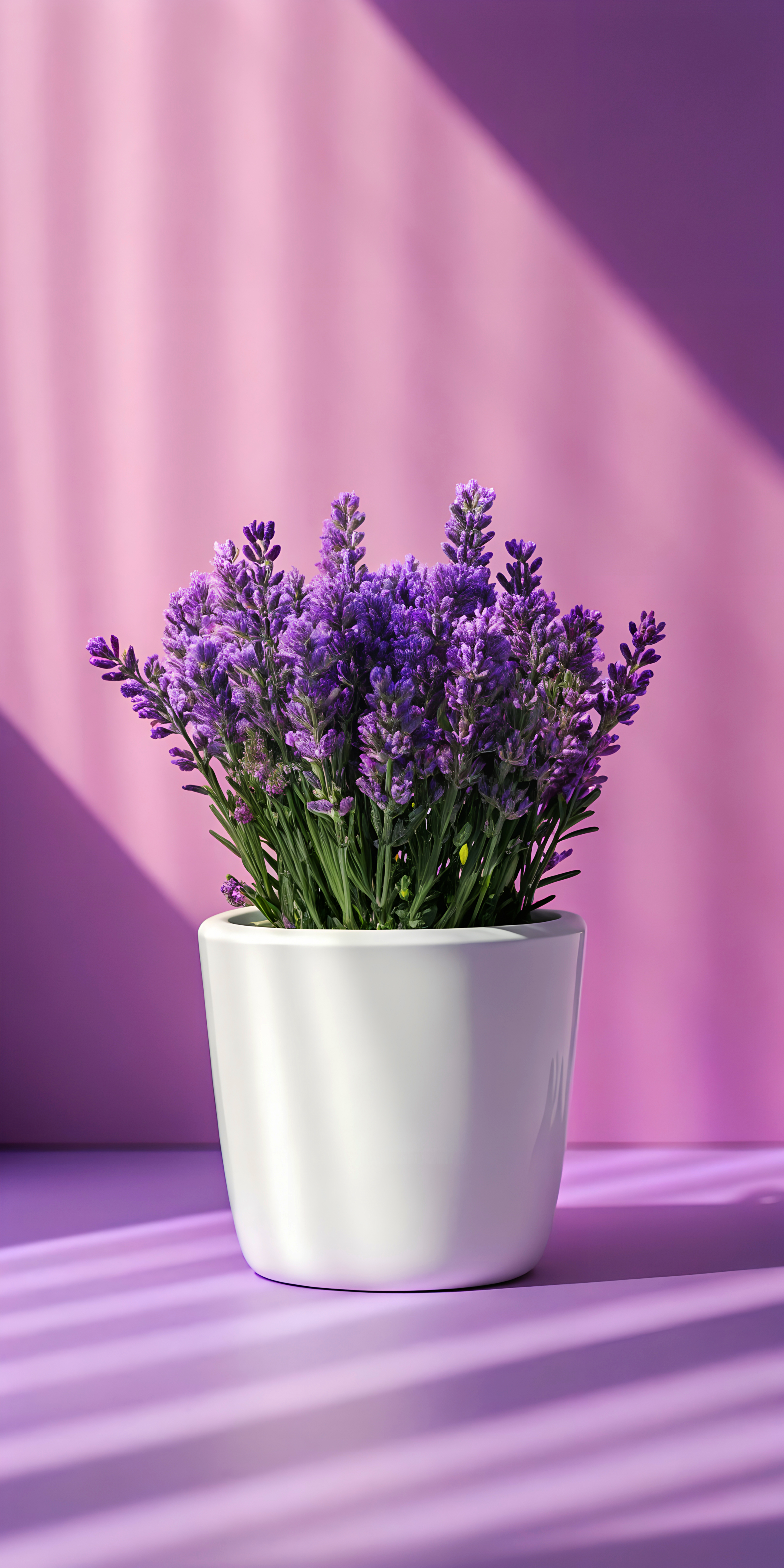 Lavender Pot Purple Hues - flowers wallpaper for OpersCraft
