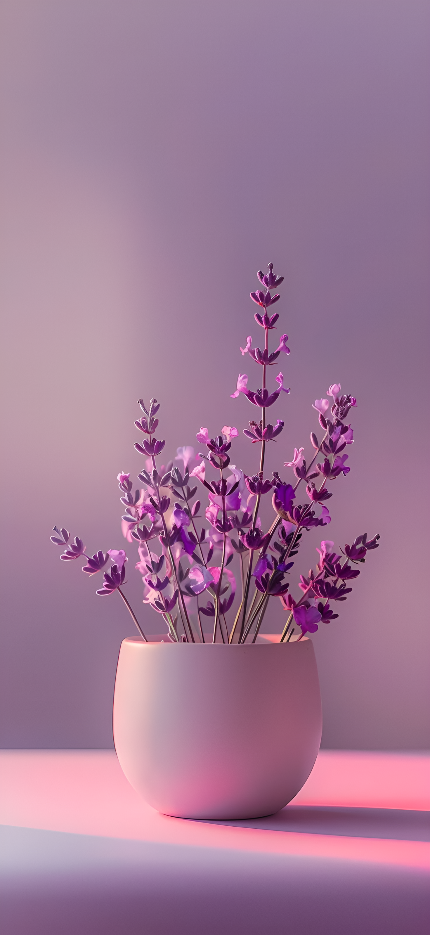 Lavender Still Life - floral wallpaper for OpersCraft