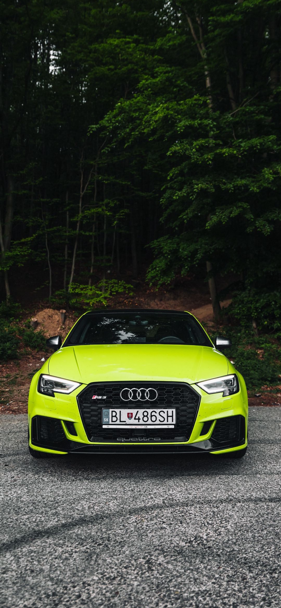 Lime Audi RS3 Forest - audi wallpaper for OpersCraft