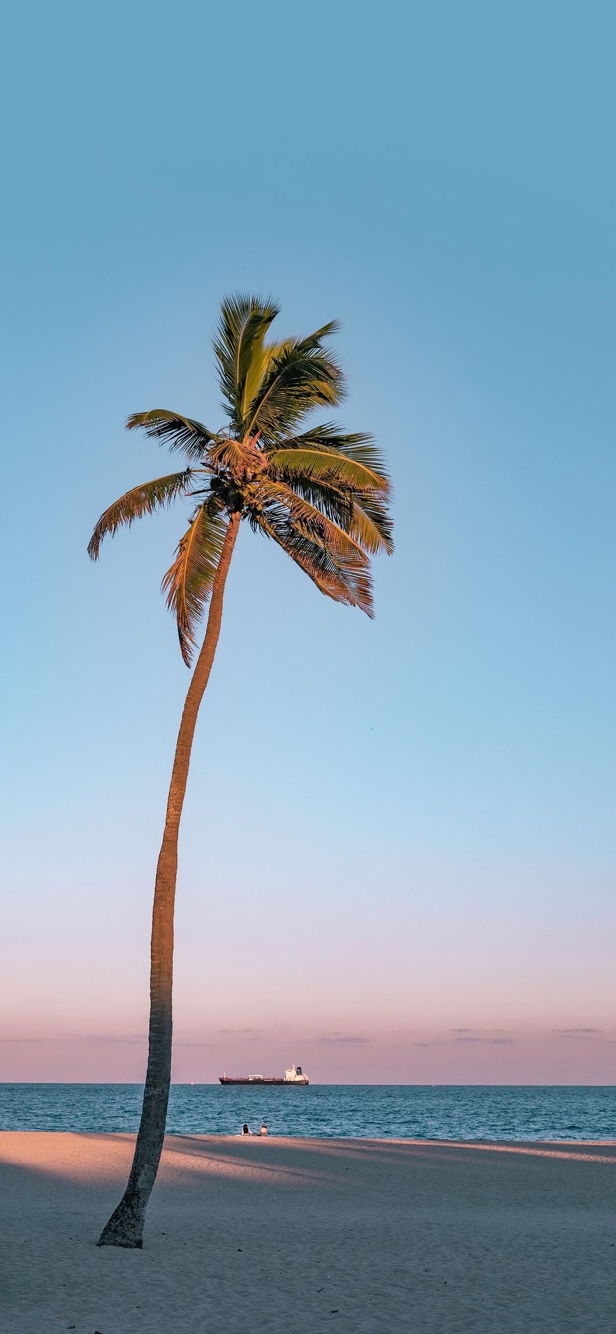 Lone Palm Beach Sunset - beach wallpaper for OpersCraft