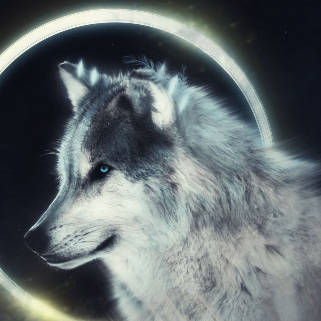 Lunar Wolf Portrait - wolf wallpaper for OpersCraft