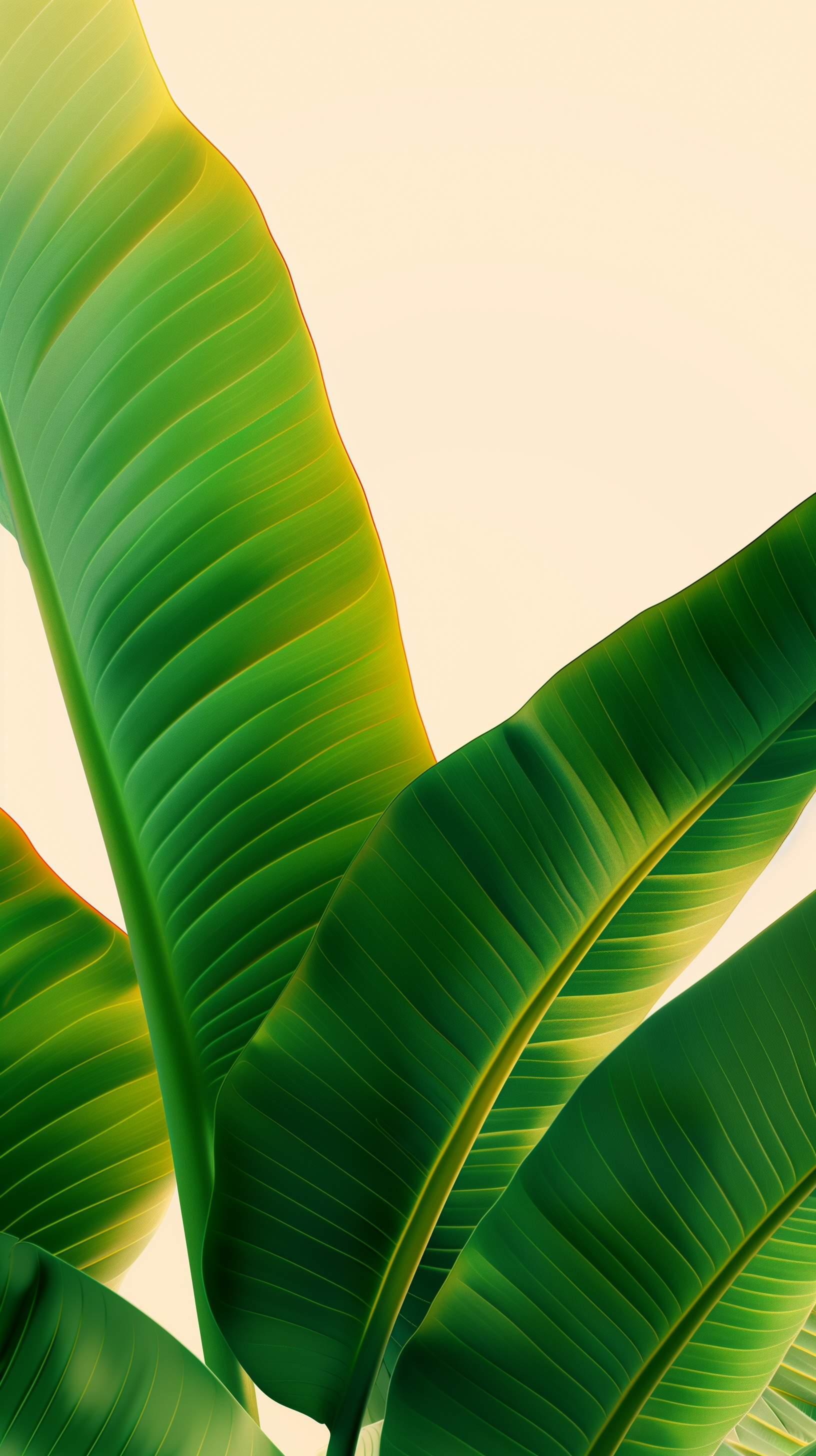 Lush Green Banana Leaves - botanical wallpaper for OpersCraft