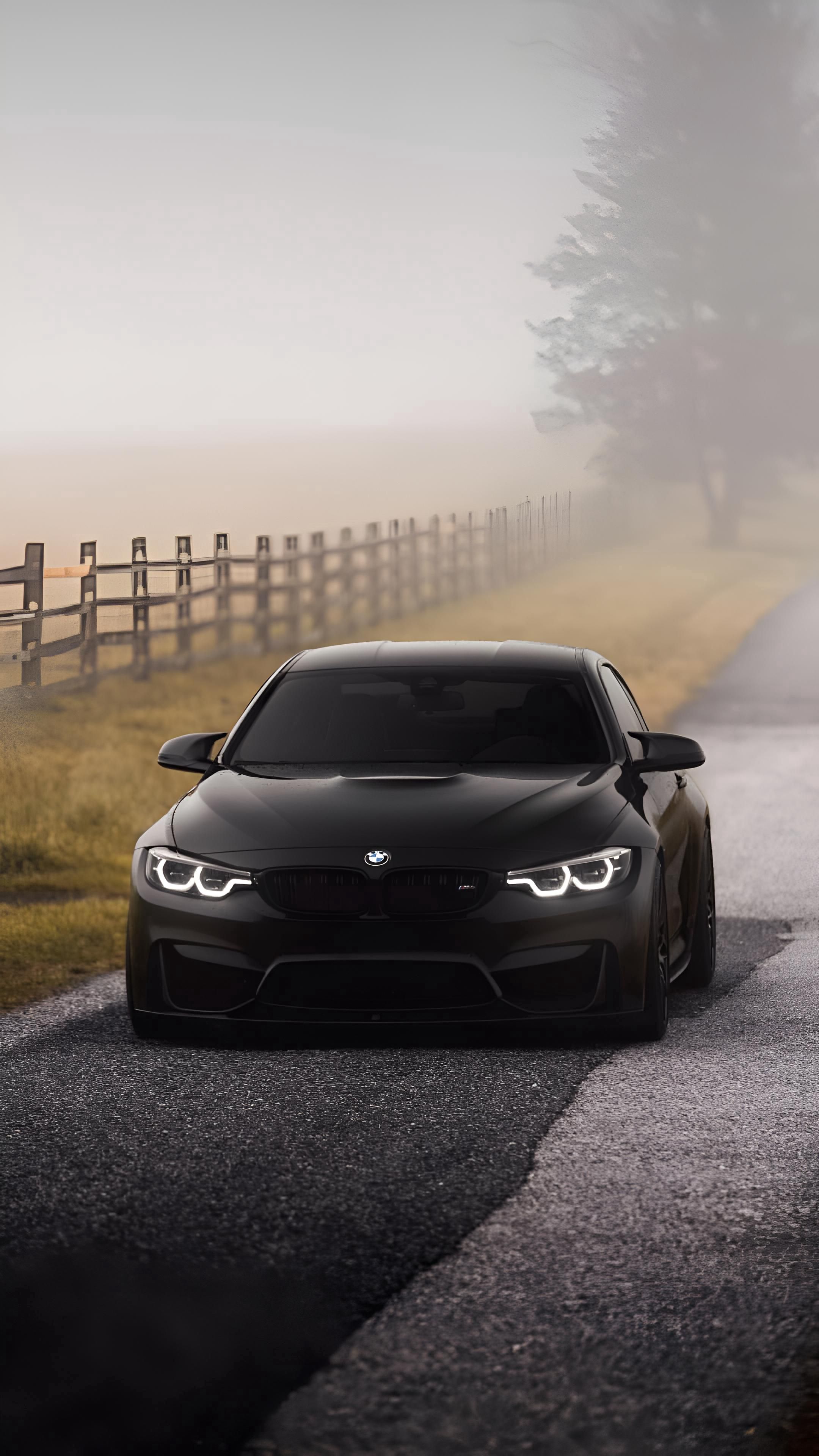M4 on Foggy Road - nature wallpaper for OpersCraft