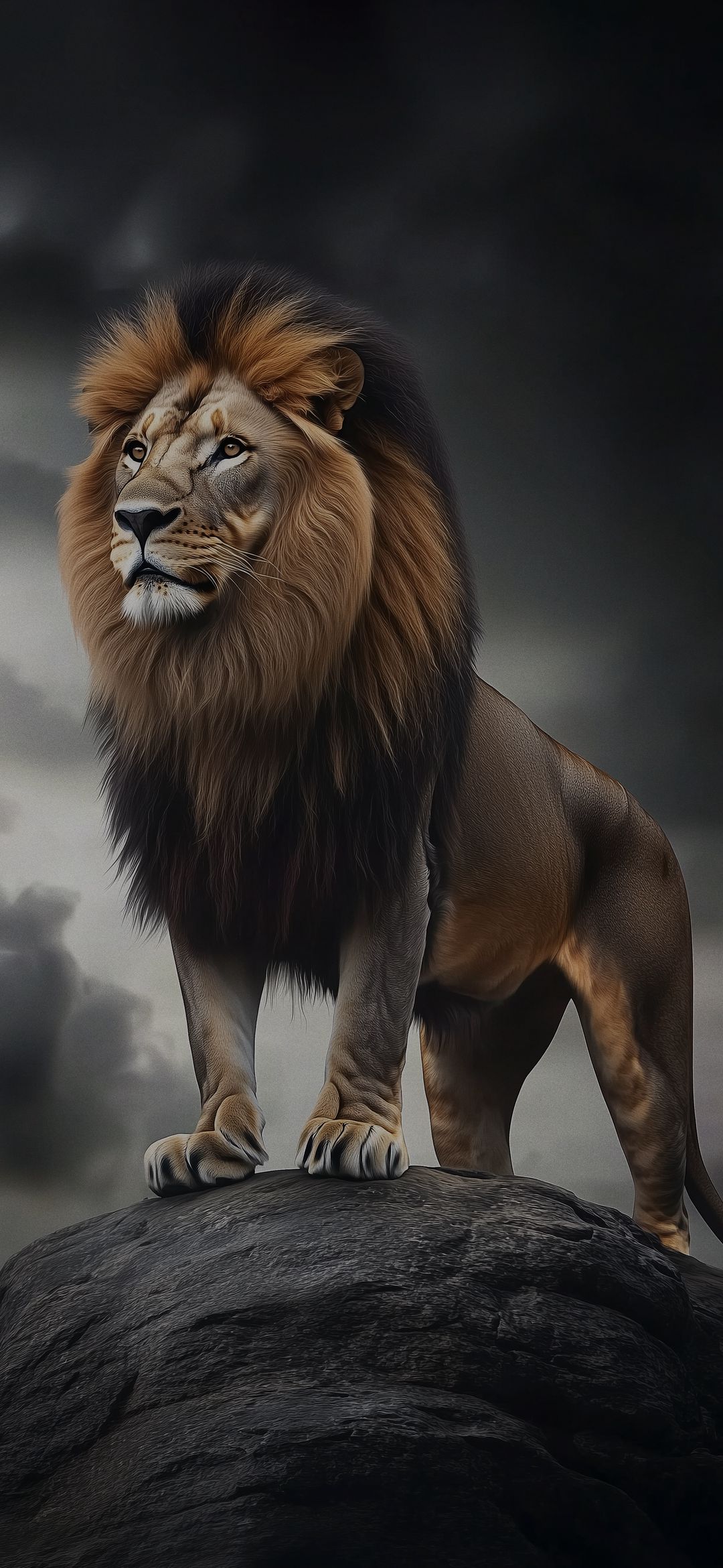 Majestic Lion on Rock - lion wallpaper for OpersCraft