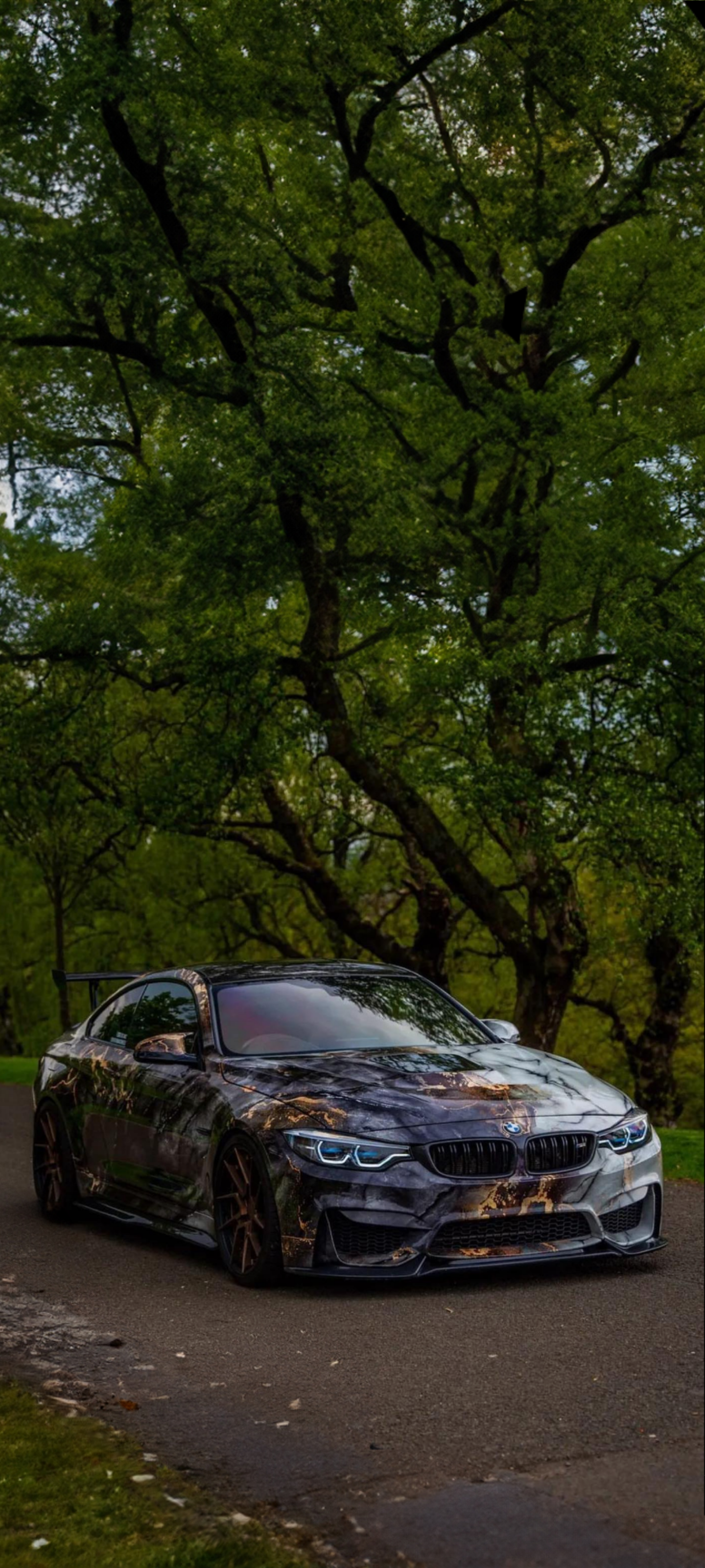 Marble BMW in Nature - cars wallpaper for OpersCraft