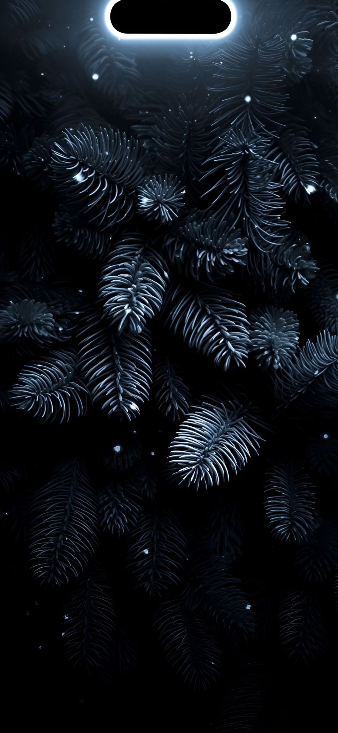 Midnight Pine Forest - forest wallpaper for OpersCraft