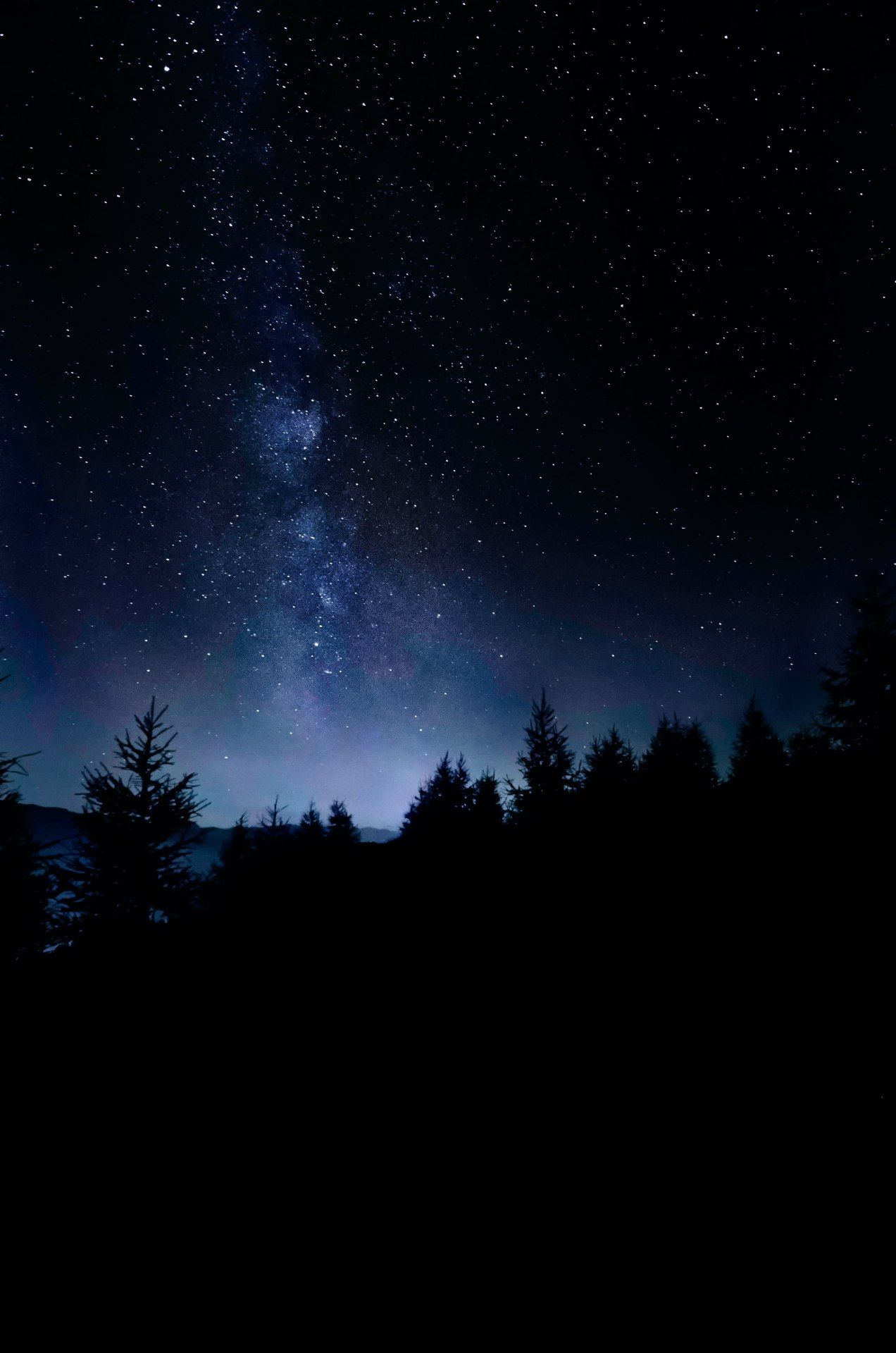 Milky Way Forest - forest wallpaper for OpersCraft