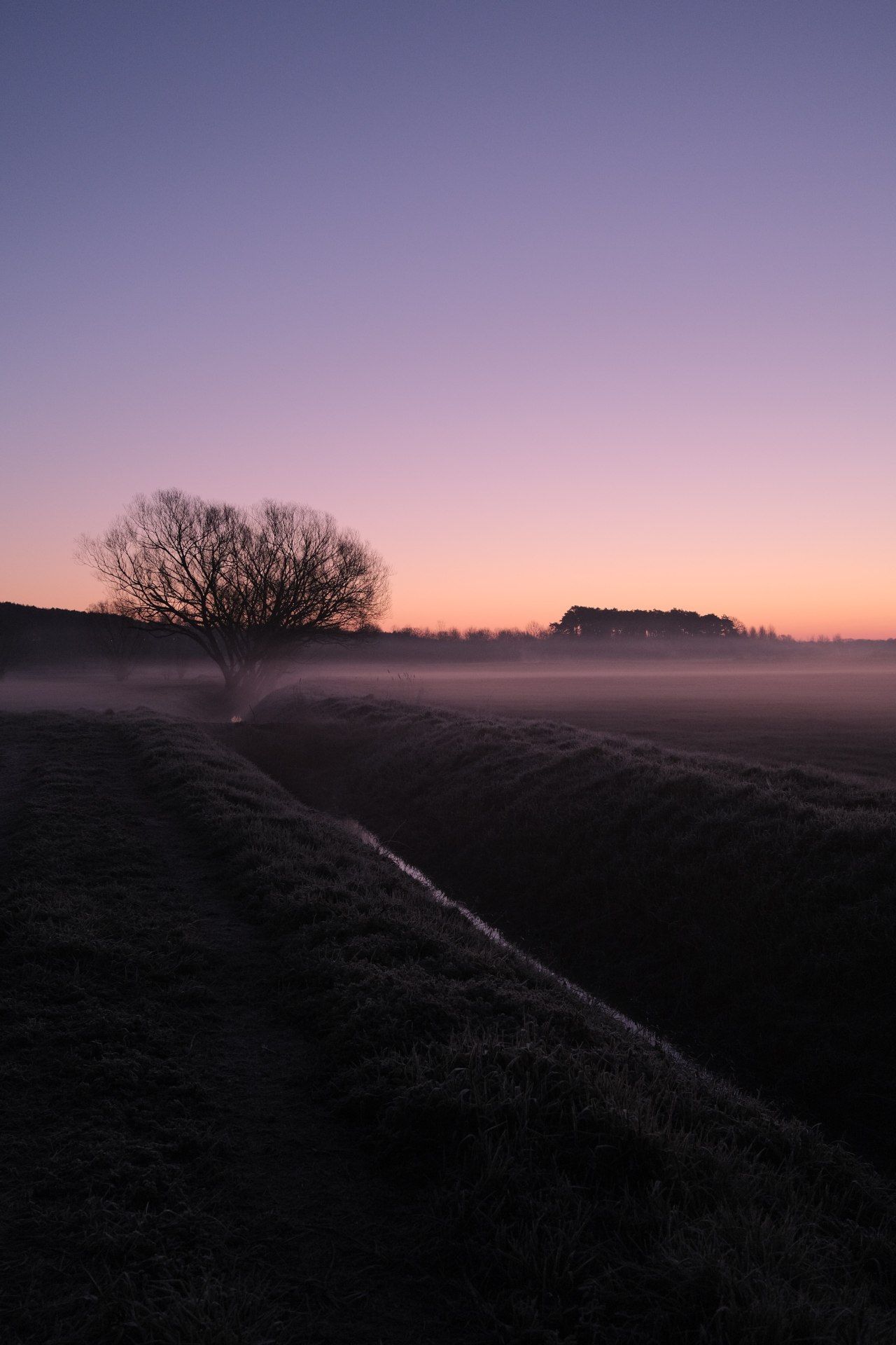 Misty Field at Dusk - landscape wallpaper for OpersCraft