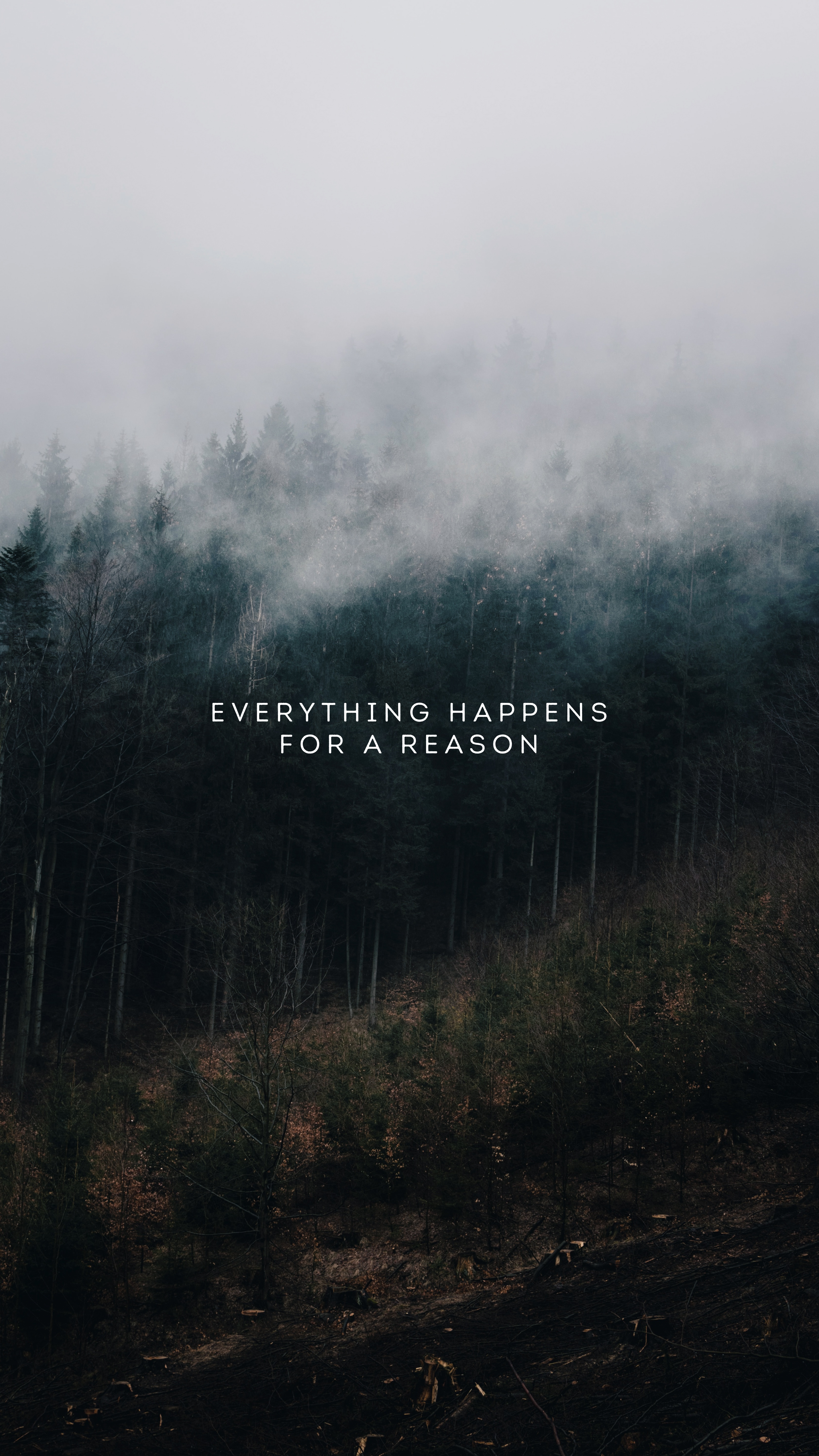 Misty Forest Motivation - quotes wallpaper for OpersCraft