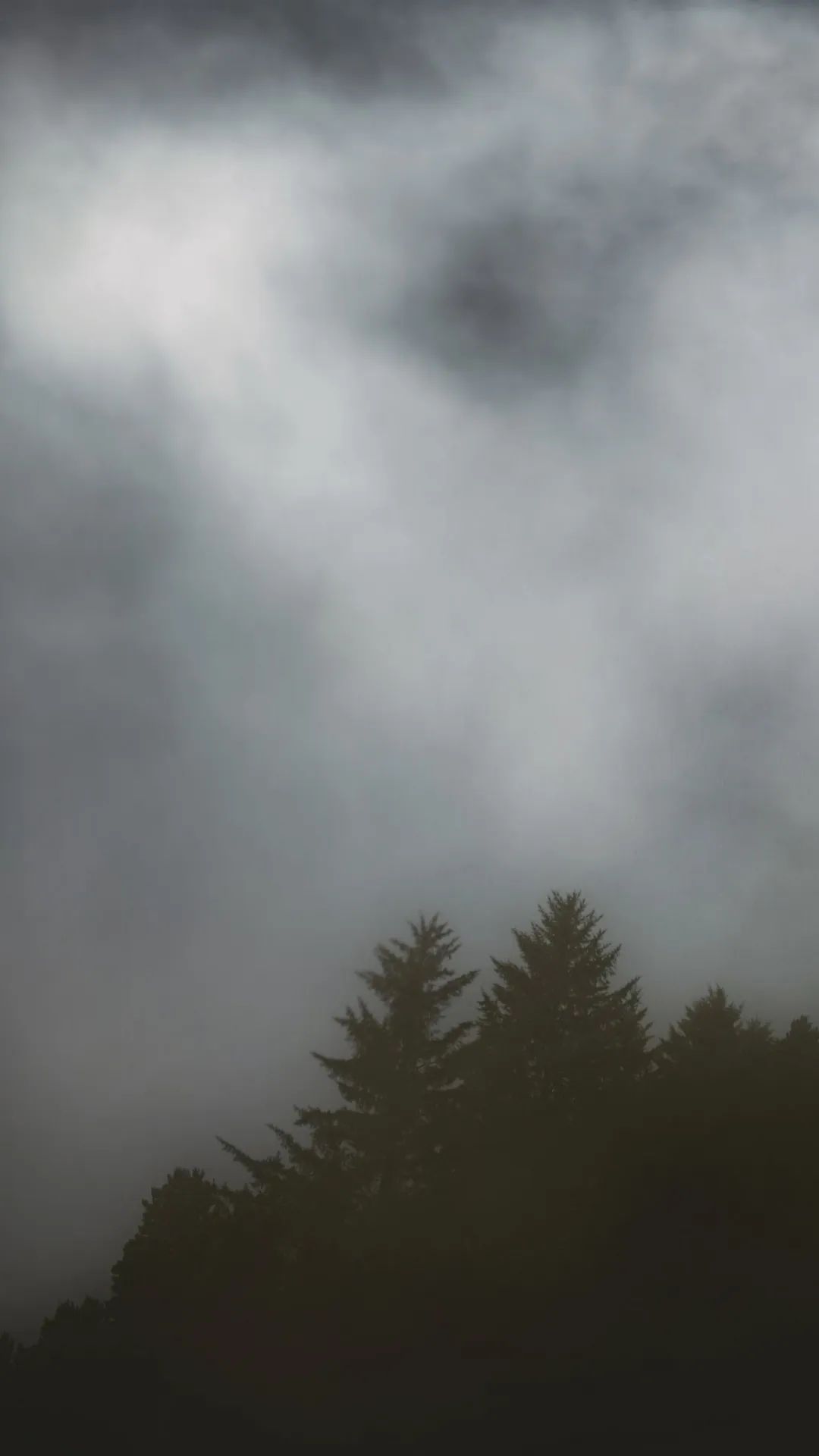 Misty Forest Silhouette - forest wallpaper for OpersCraft
