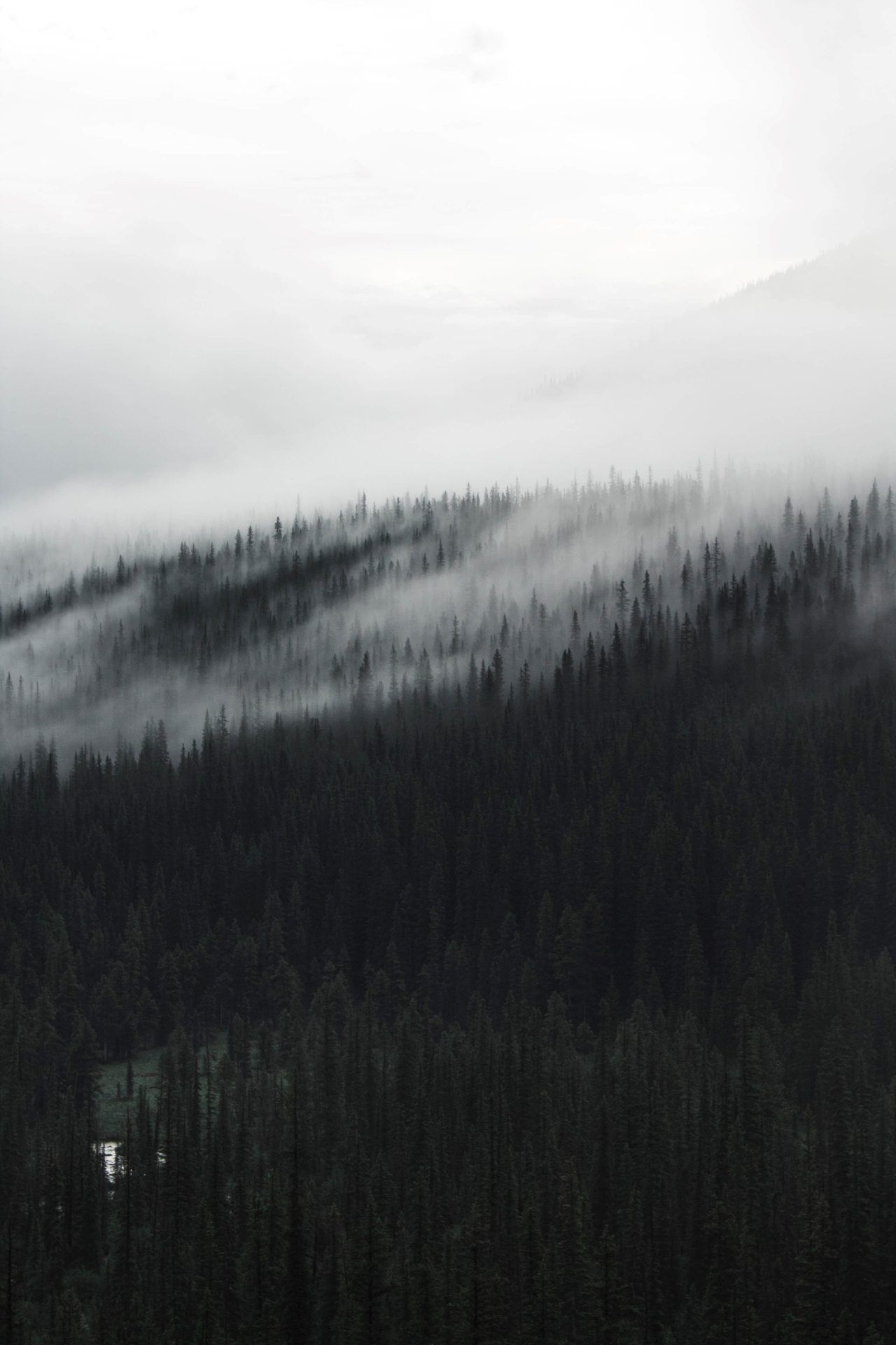 Misty Forest Vista - forest wallpaper for OpersCraft