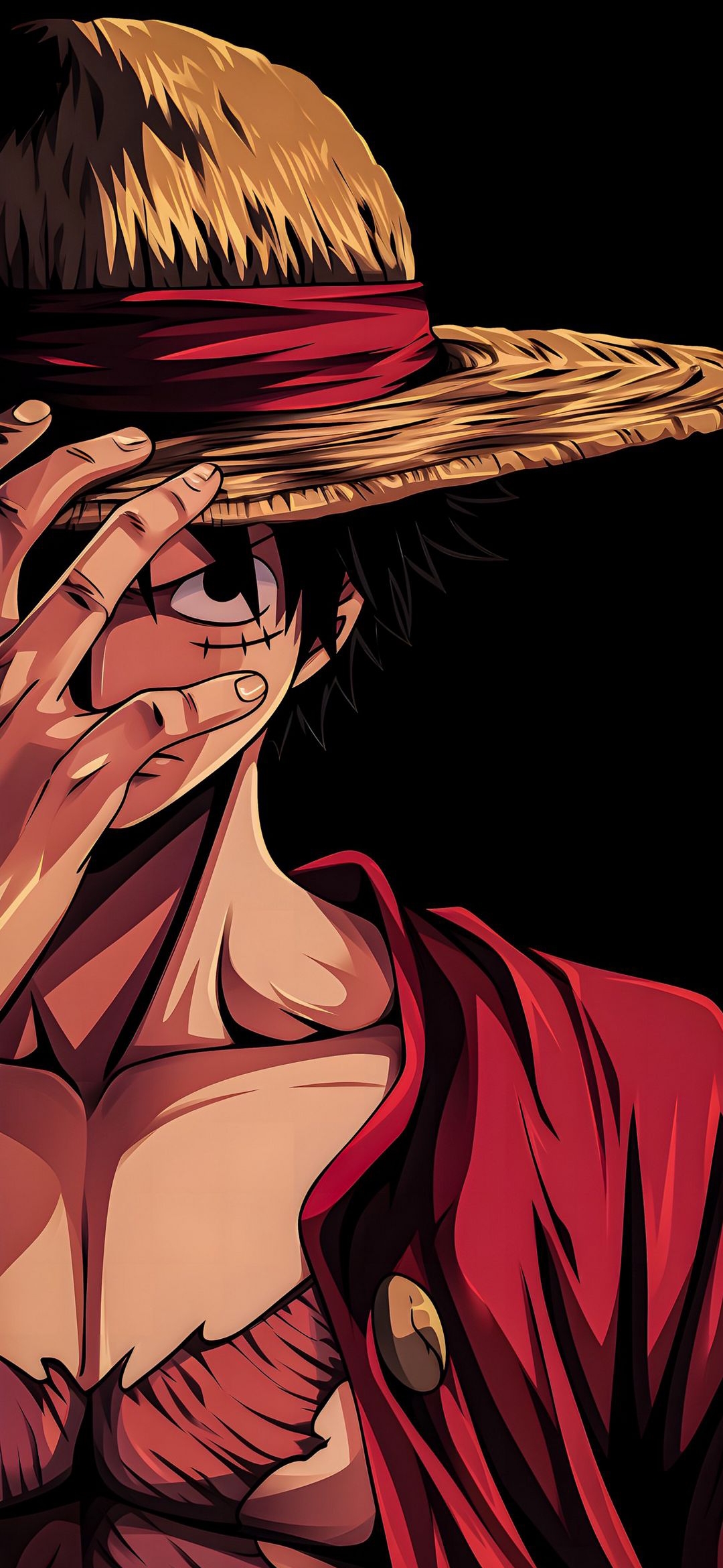 Monkey D. Luffy Portrait - one piece wallpaper for OpersCraft