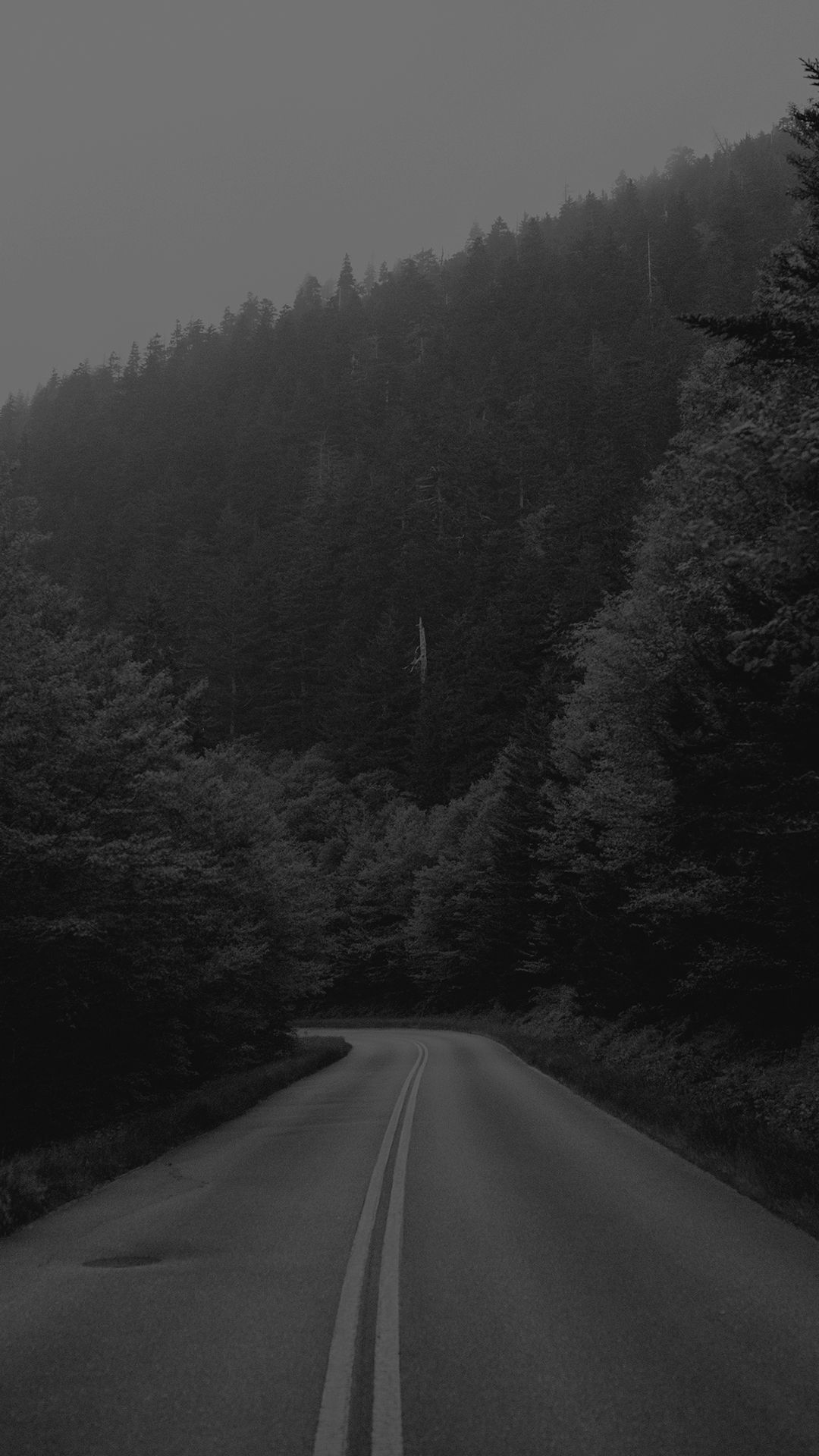Monochrome Forest Road - forest wallpaper for OpersCraft