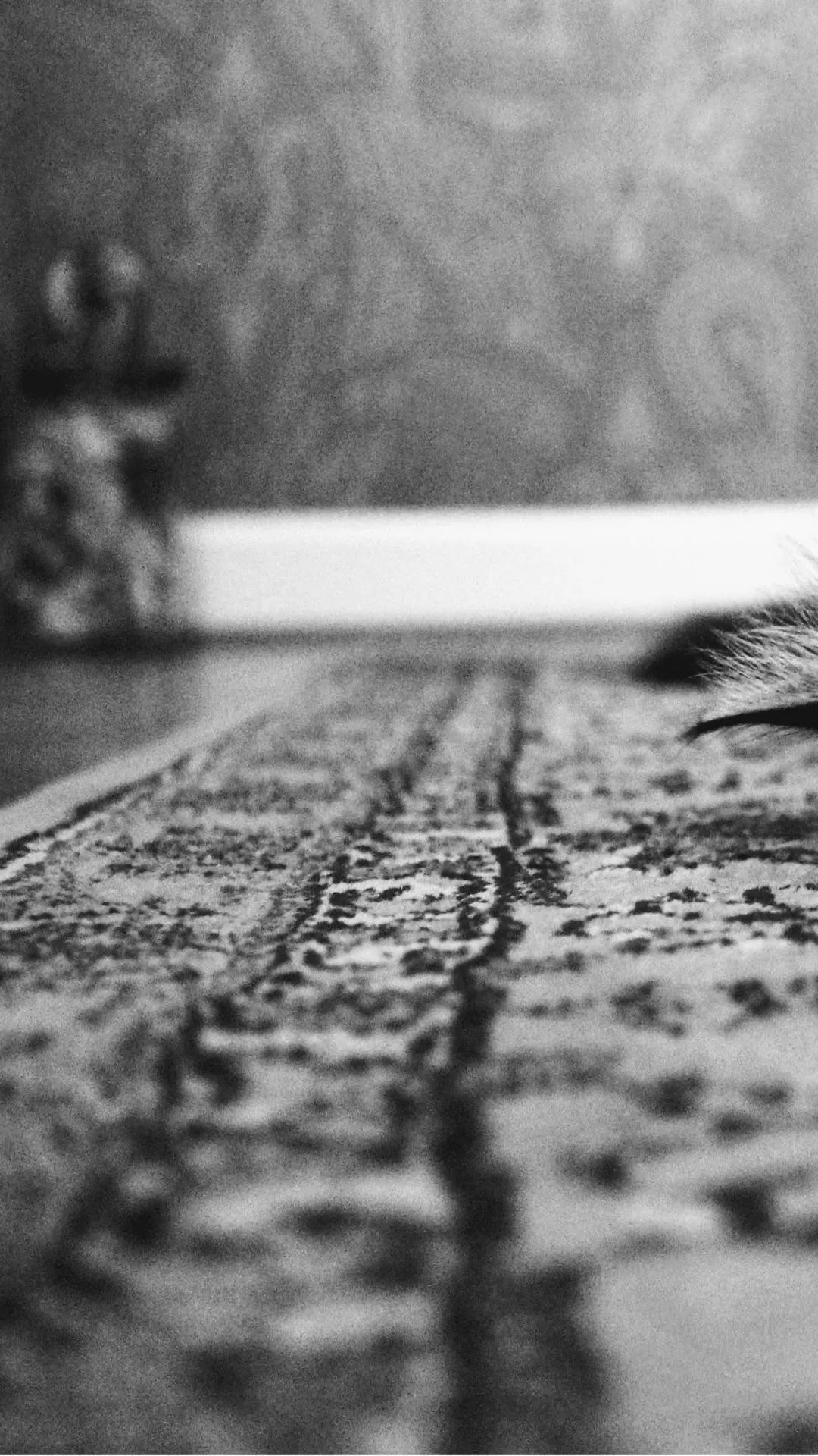 Monochrome Rug Detail - abstract wallpaper for OpersCraft
