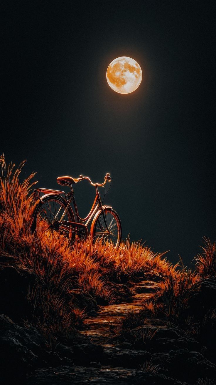 Moonlit Bicycle Path - moon wallpaper for OpersCraft
