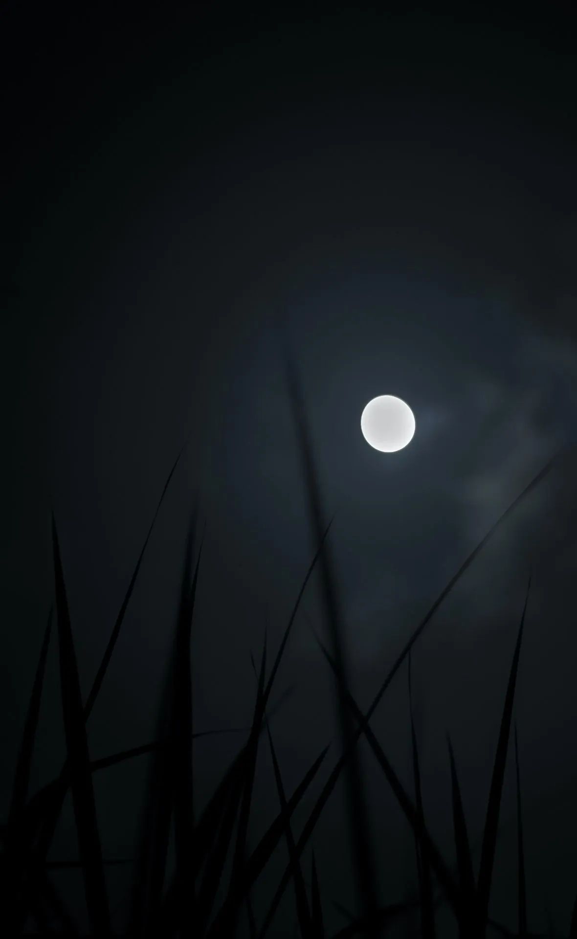 Moonlit Grass Silhouette - night wallpaper for OpersCraft