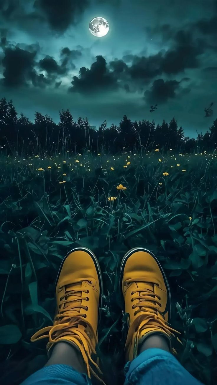 Moonlit Meadow Adventure - dope wallpaper for OpersCraft