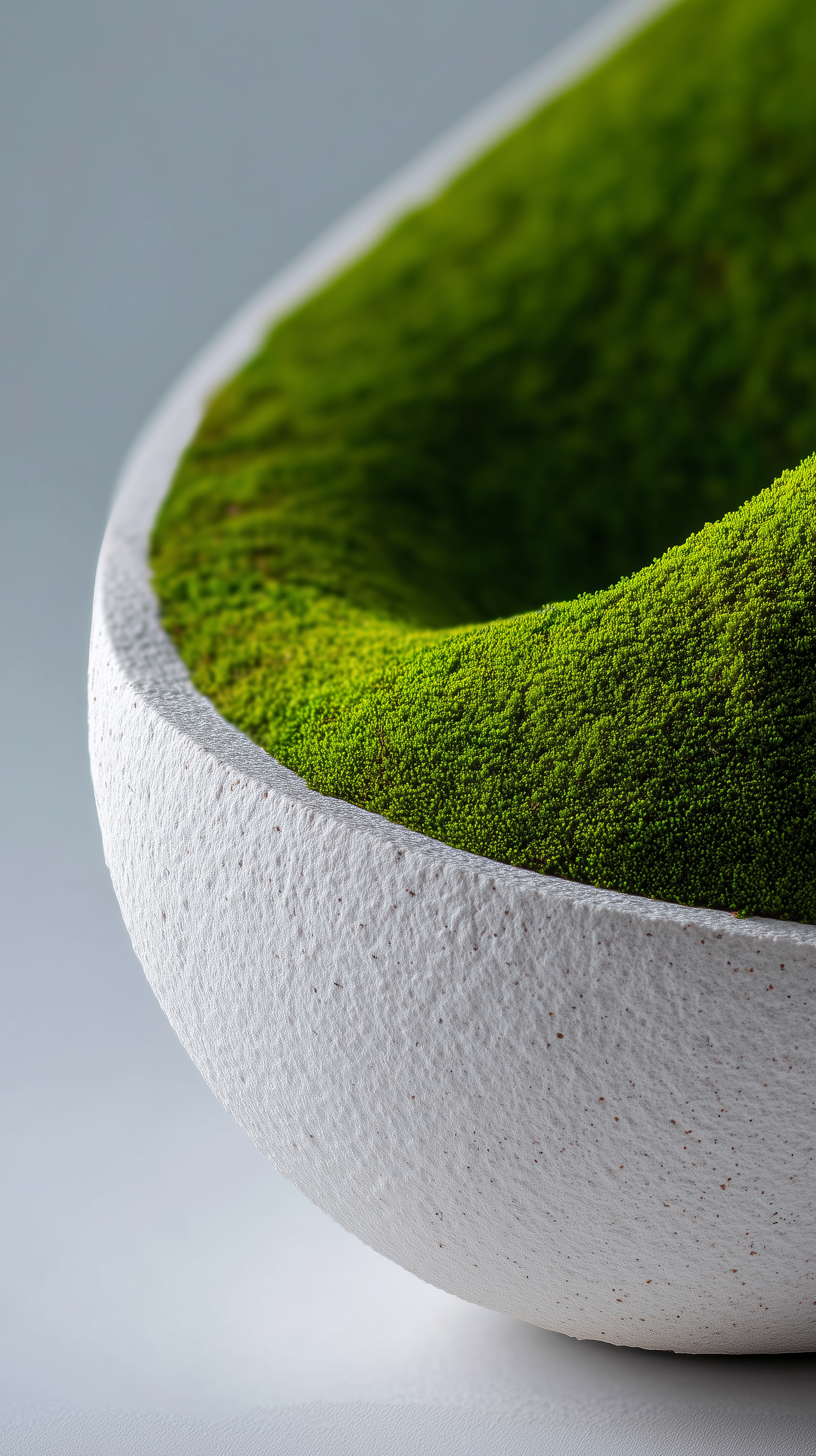 Moss Bowl Macro - botanical wallpaper for OpersCraft