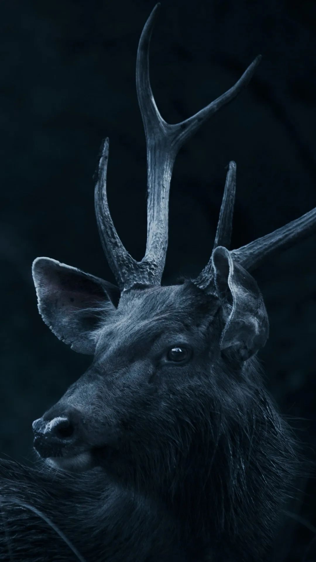 Mystic Deer Portrait - deer wallpaper for OpersCraft