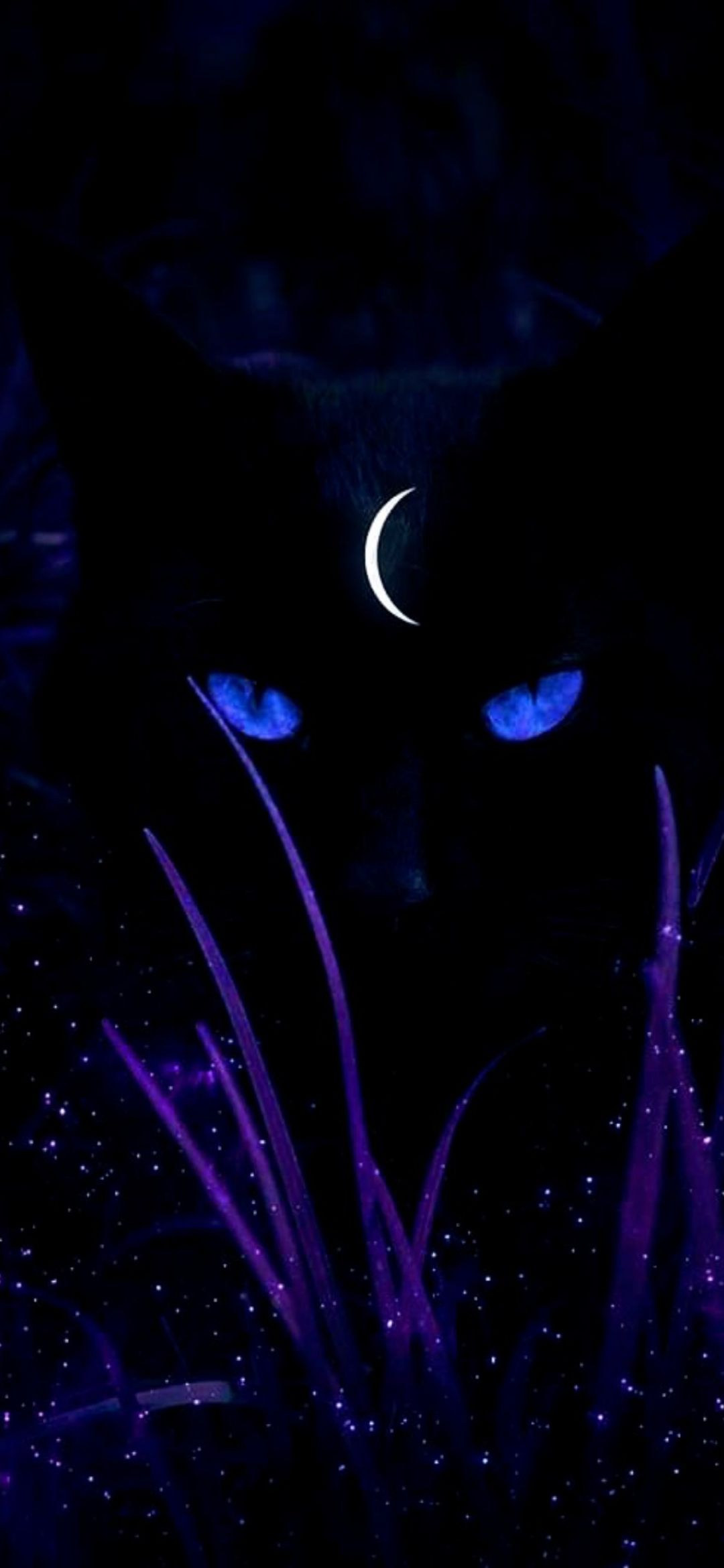 Mystic Lunar Cat - cat wallpaper for OpersCraft