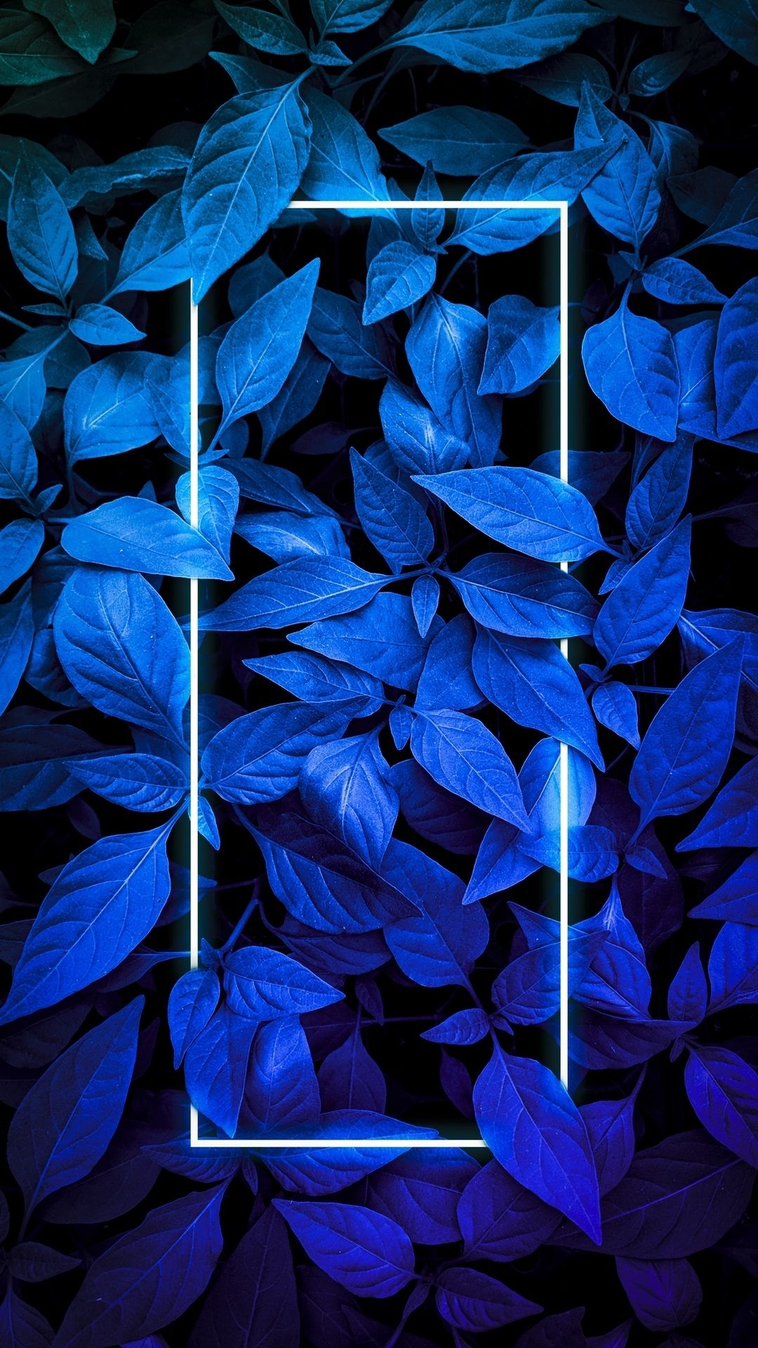 Neon Blue Leaf Frame - random wallpaper for OpersCraft