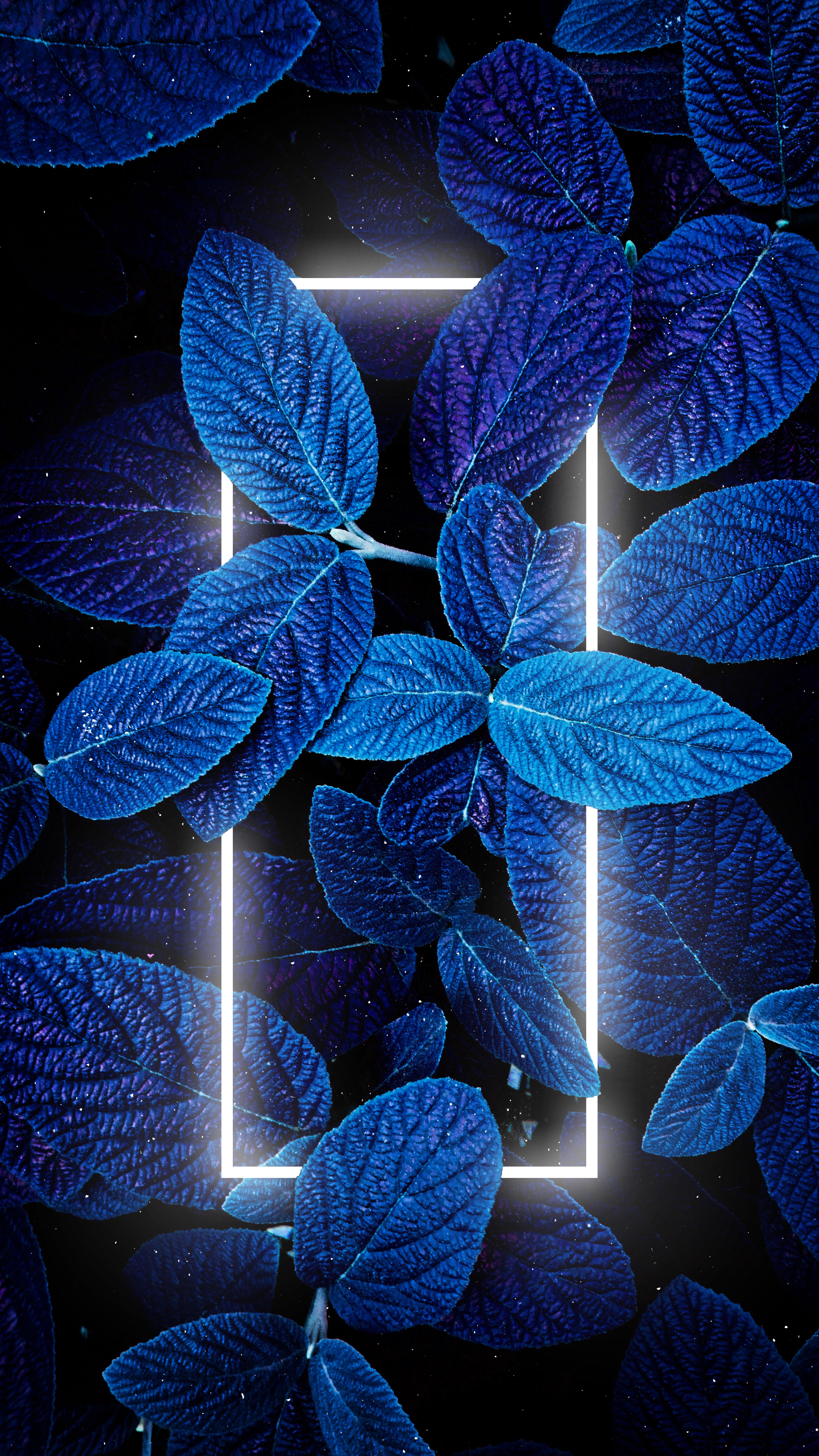 Neon Blue Leaf Frame - abstract wallpaper for OpersCraft