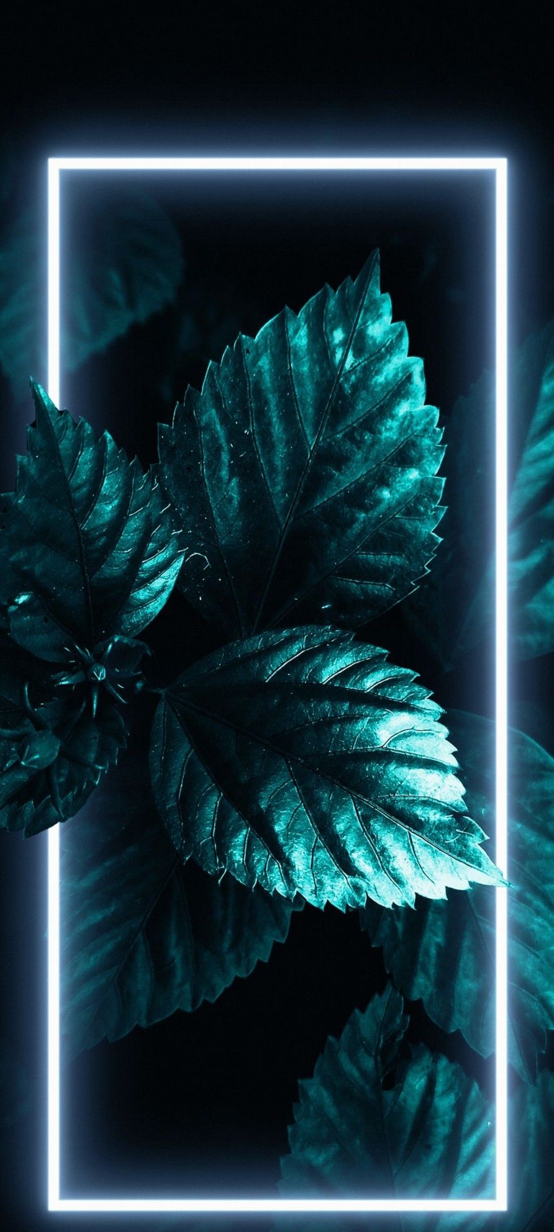 Neon Framed Teal Leaves - random wallpaper for OpersCraft