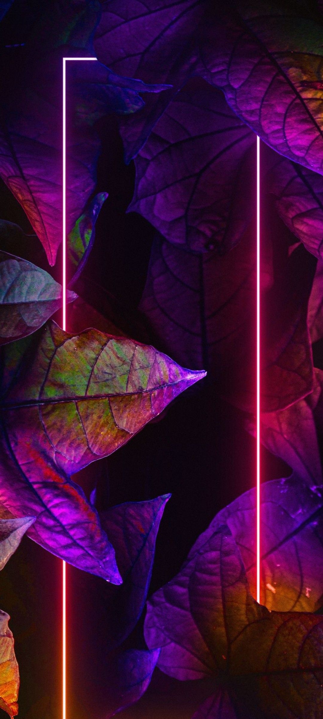 Neon Leaves Abstract - abstract wallpaper for OpersCraft