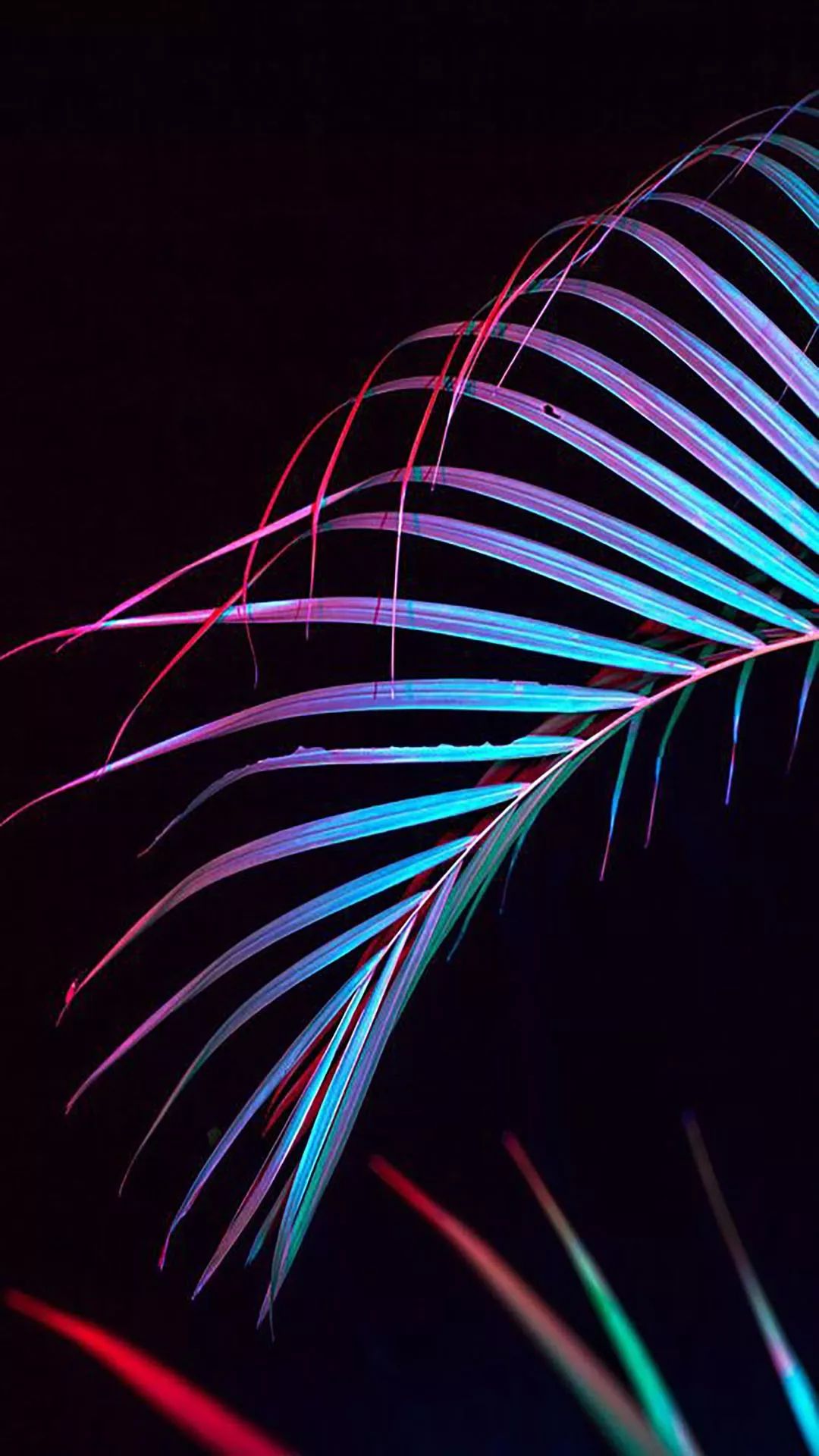 Neon Palm Leaf - neon wallpaper for OpersCraft