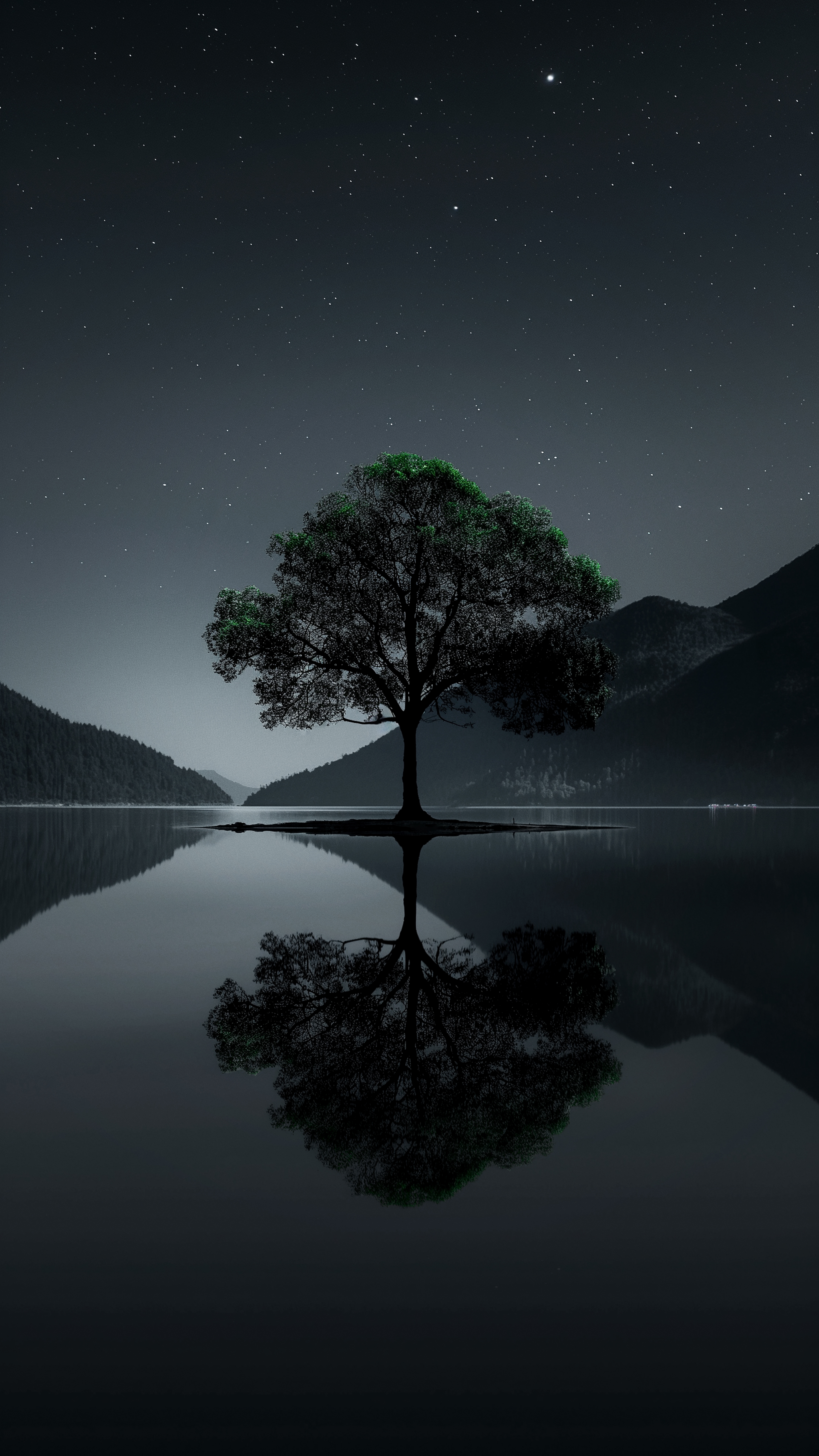 Night Tree Reflection Serenity - landscape wallpaper for OpersCraft