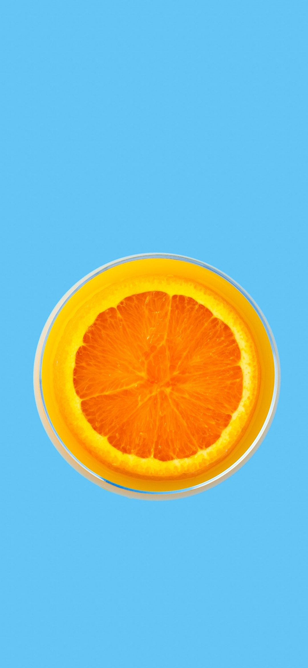 Orange Slice Drink - fruit wallpaper for OpersCraft
