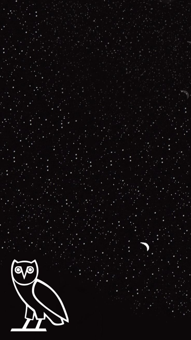OVO Owl Night Sky - random wallpaper for OpersCraft