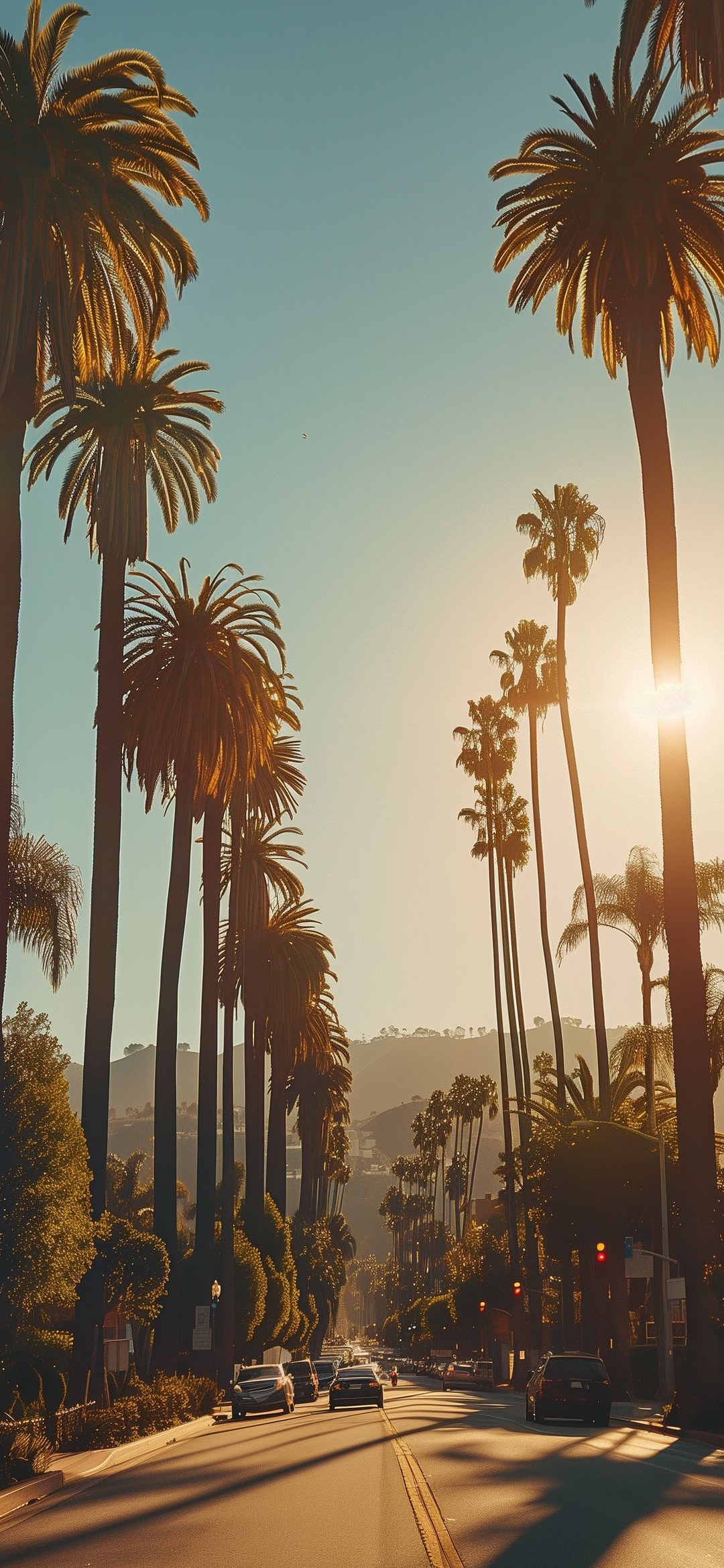 Palm Tree Lined Street - city wallpaper for OpersCraft