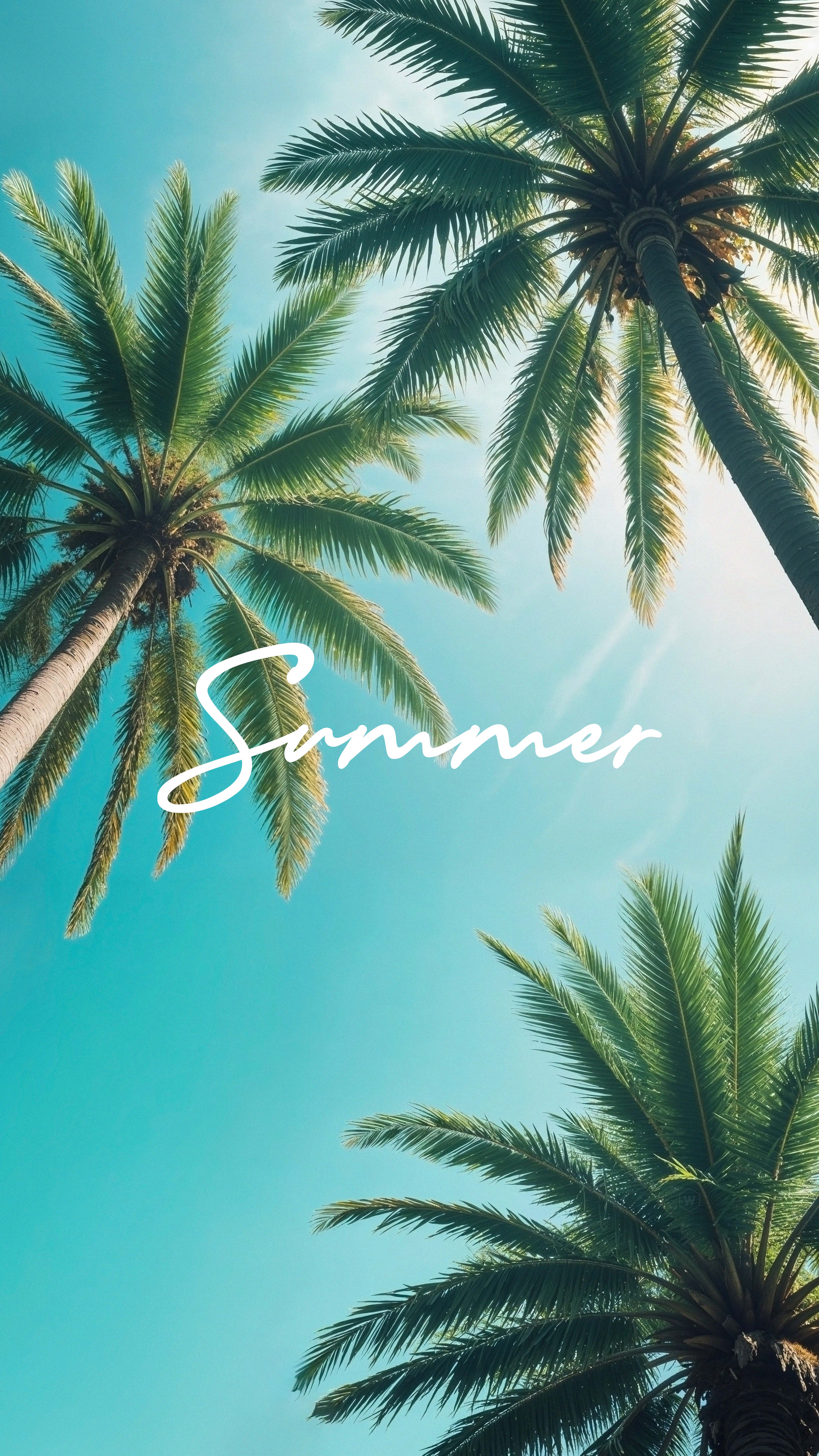 Palm Trees Summer Sky - tropical wallpaper for OpersCraft