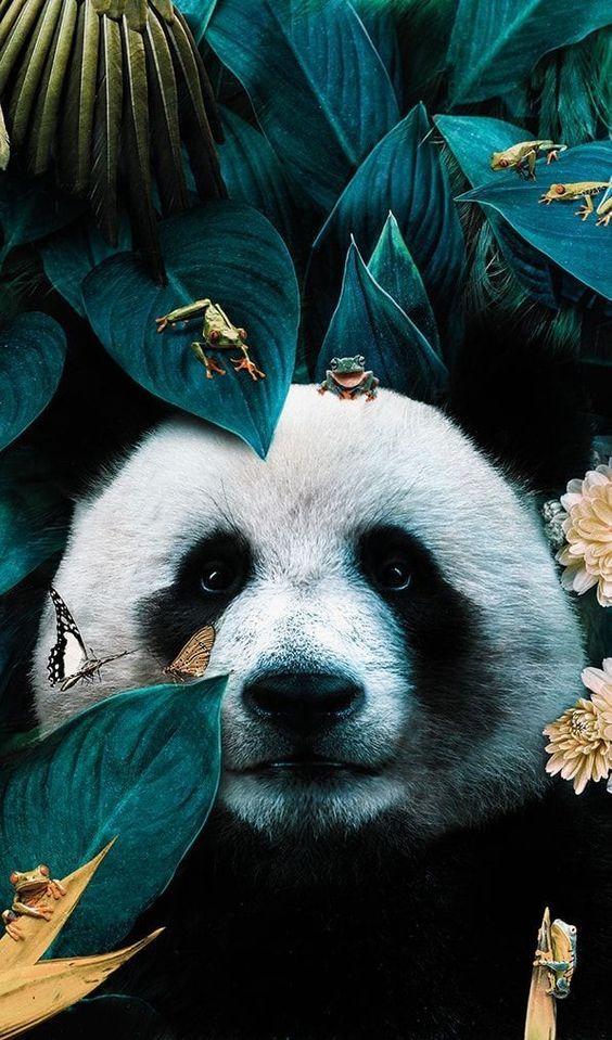 Panda and Jungle Friends - panda wallpaper for OpersCraft