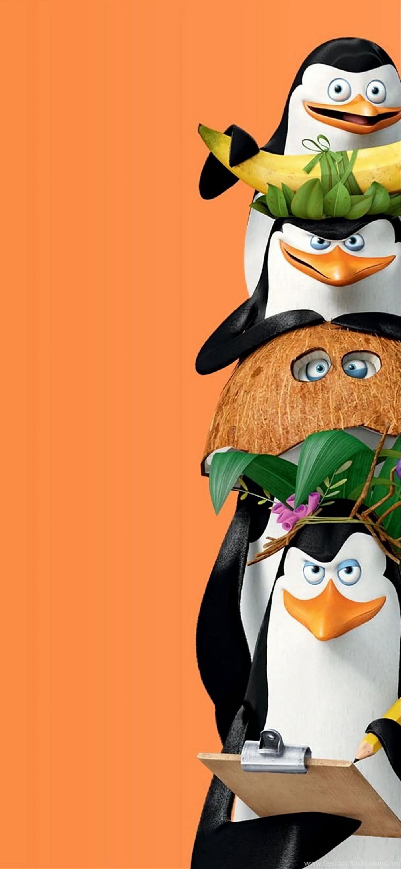 Penguins' Tropical Disguise - random wallpaper for OpersCraft