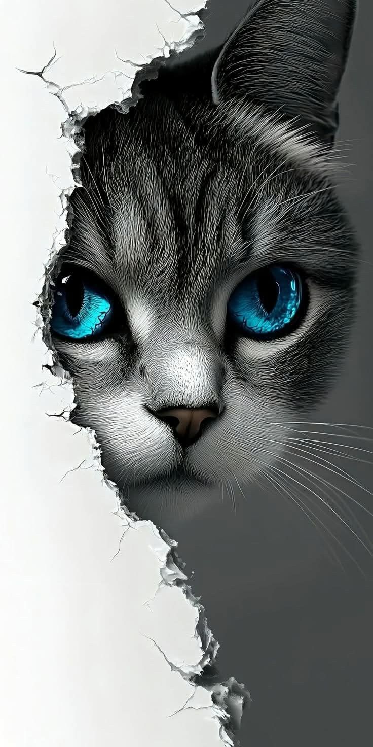 Piercing Blue Cat Eyes - cat wallpaper for OpersCraft