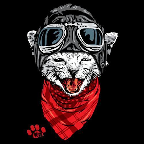 Pilot Cat Illustration - random wallpaper for OpersCraft