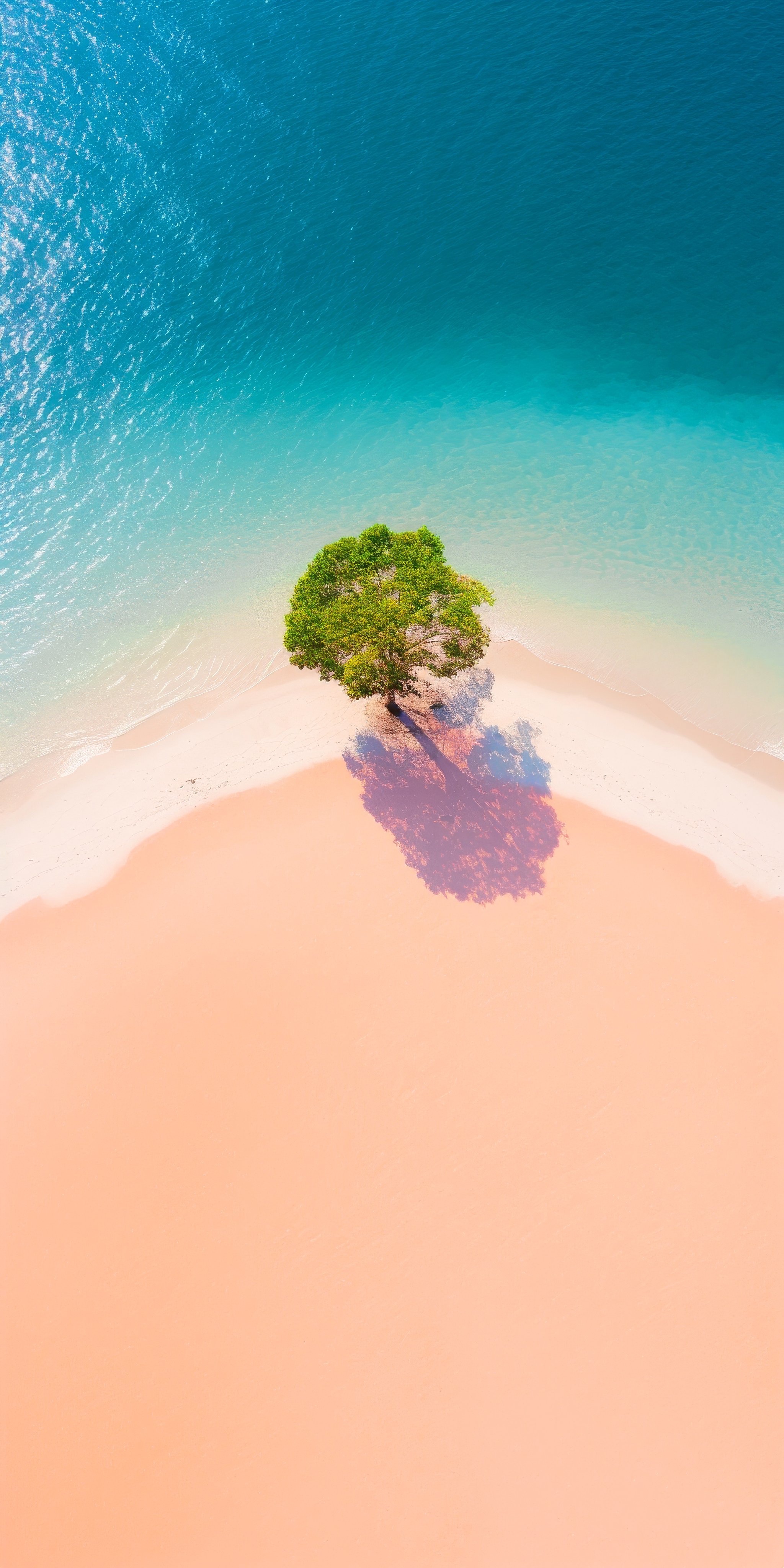 Pink Sand Beach Tree - beach wallpaper for OpersCraft