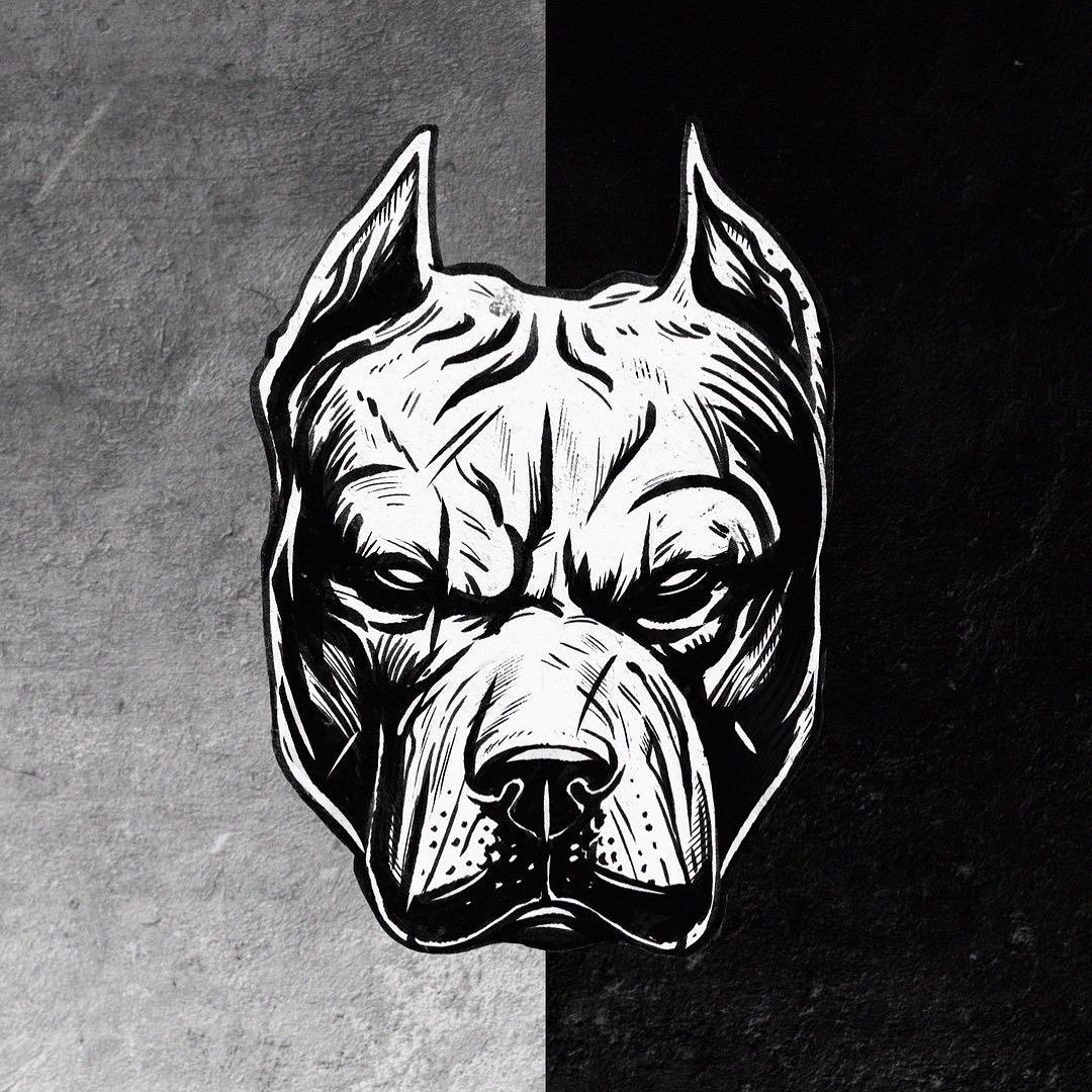 Pitbull Monochrome Illustration - random wallpaper for OpersCraft