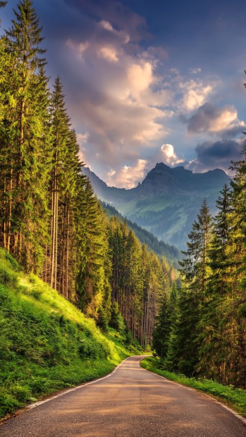 Scenic Mountain Road Journey - road Wallpaper