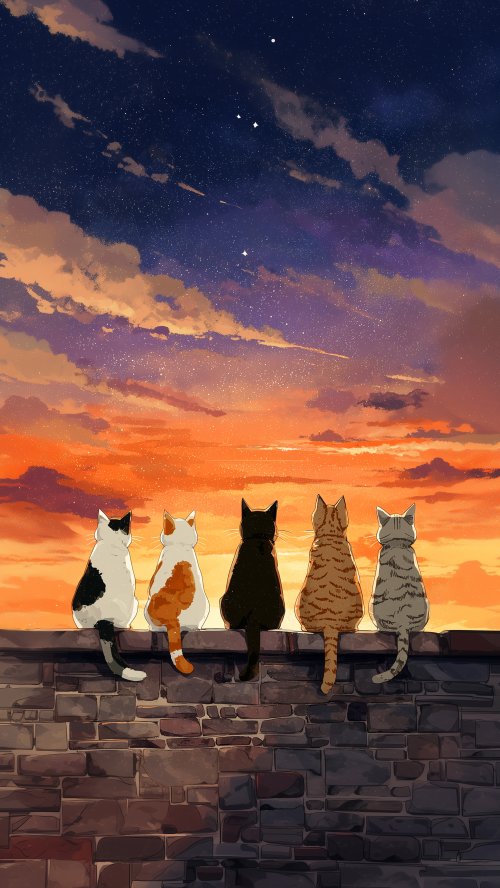 Cats Watching Sunset Sky - cat Wallpaper