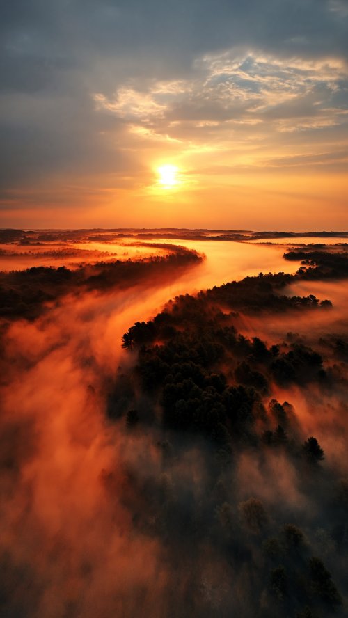 Golden Misty Forest Sunrise - Related Darkify wallpaper