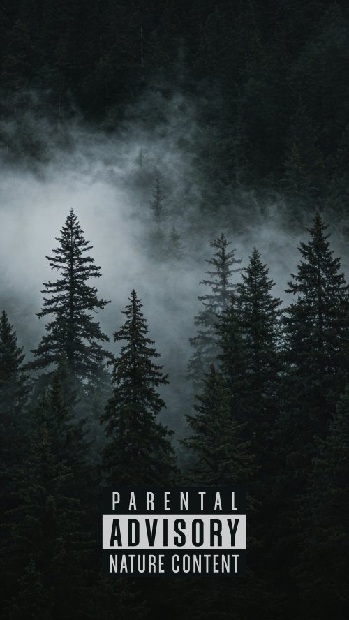 Misty Forest Nature Content - Related OpersCraft wallpaper